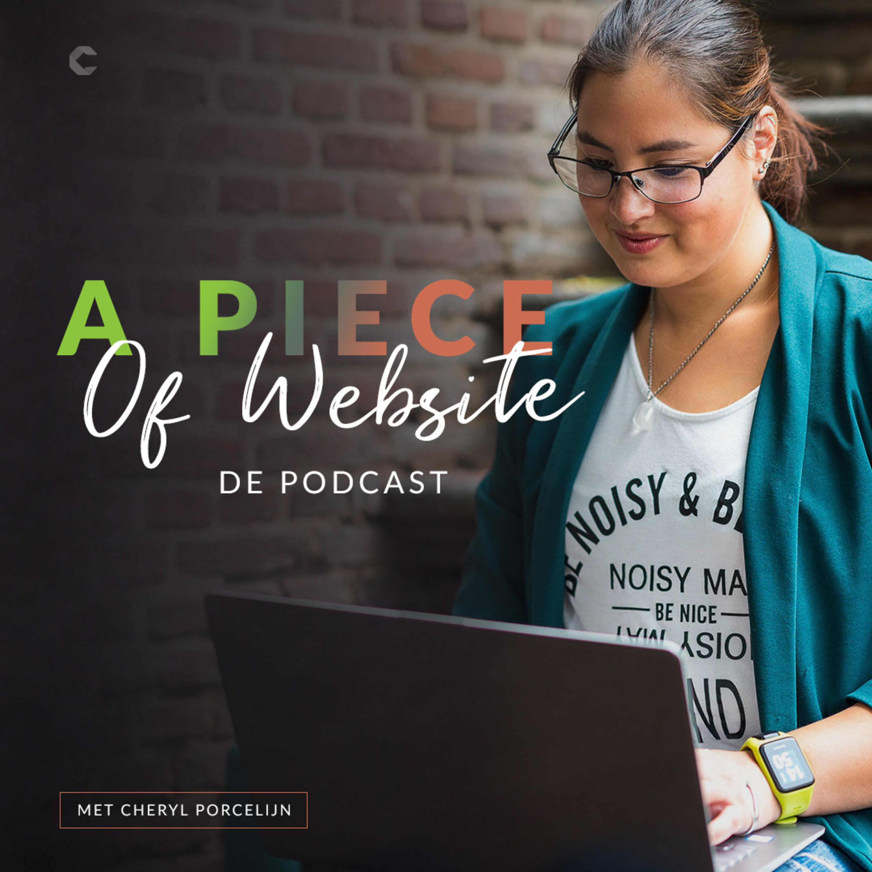 28: Hoe mijn website mij mijn droomstage bezorgde episode artwork