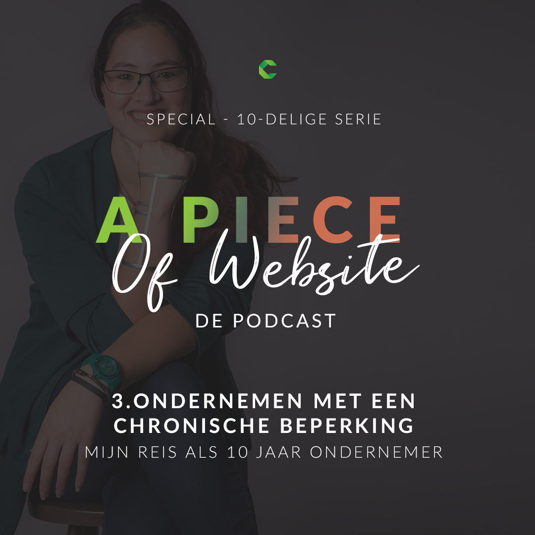 37: SPECIAL; ondernemen met een chronische beperking - mijn reis als 10 jaar ondernemer episode artwork