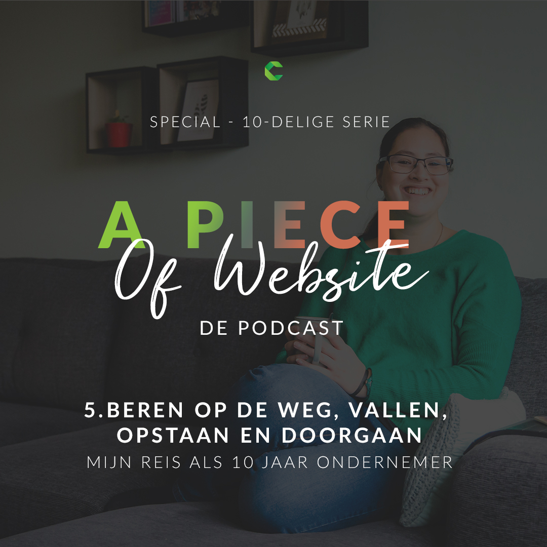 39: SPECIAL; Beren op de weg, vallen, opstaan en doorgaan – mijn reis als 10 jaar ondernemer episode artwork