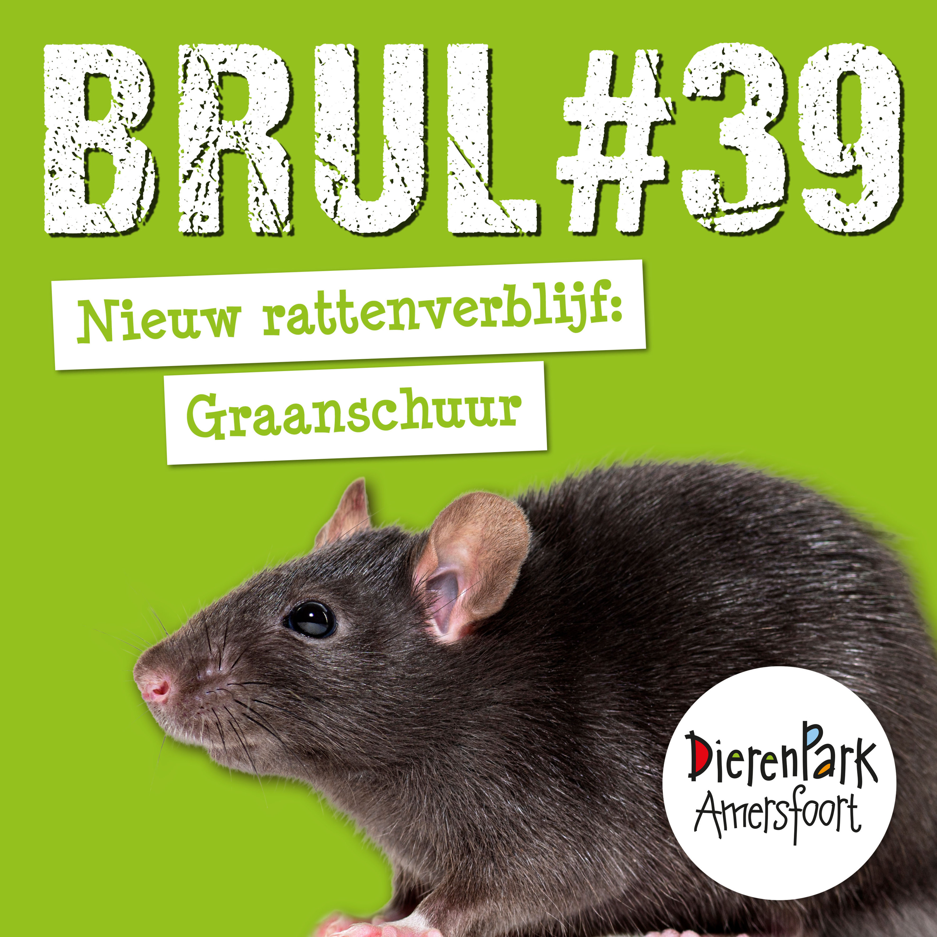Ratten in de Graanschuur 🐀 | BRUL #39