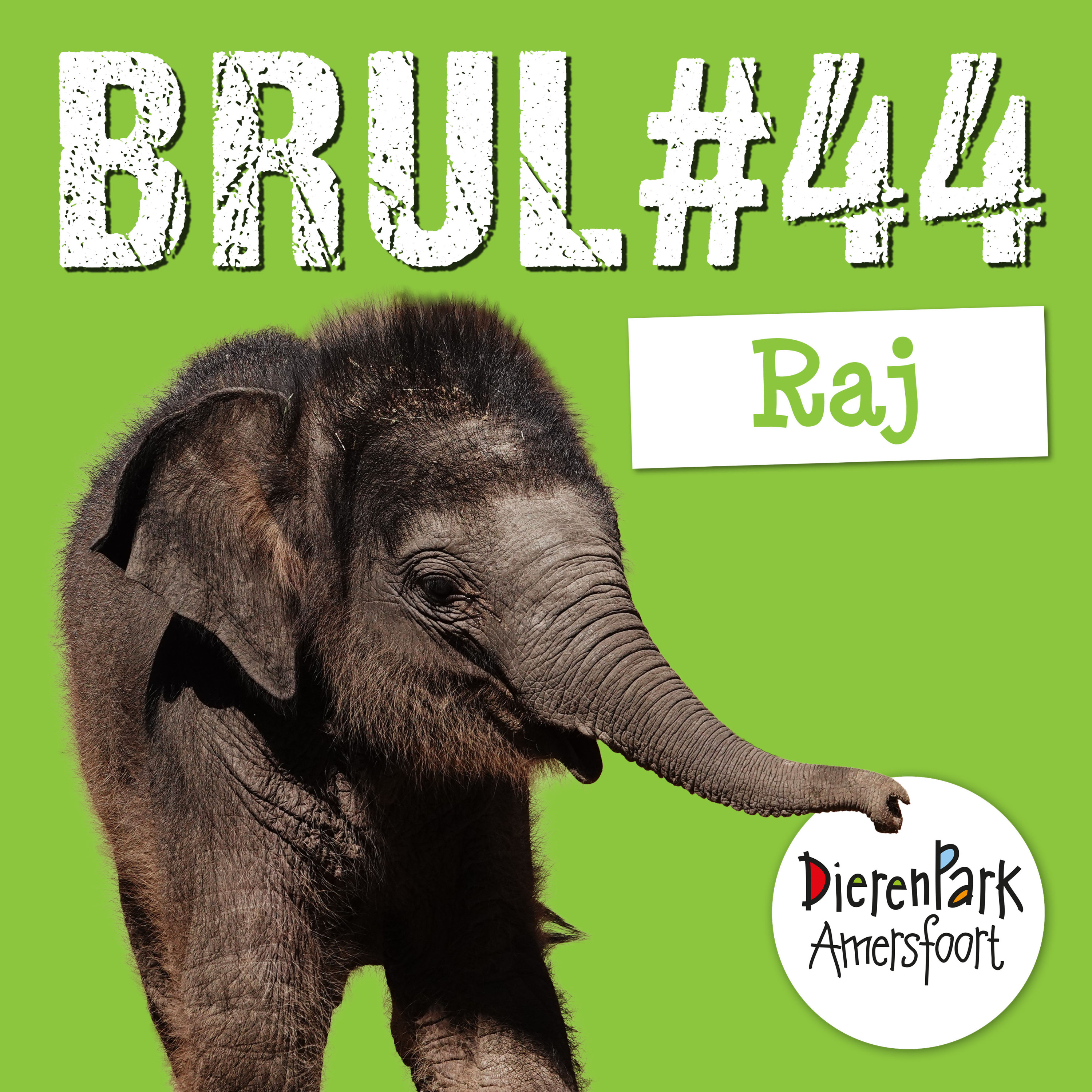 Op kraamvisite bij Raj 🐘 | BRUL #44