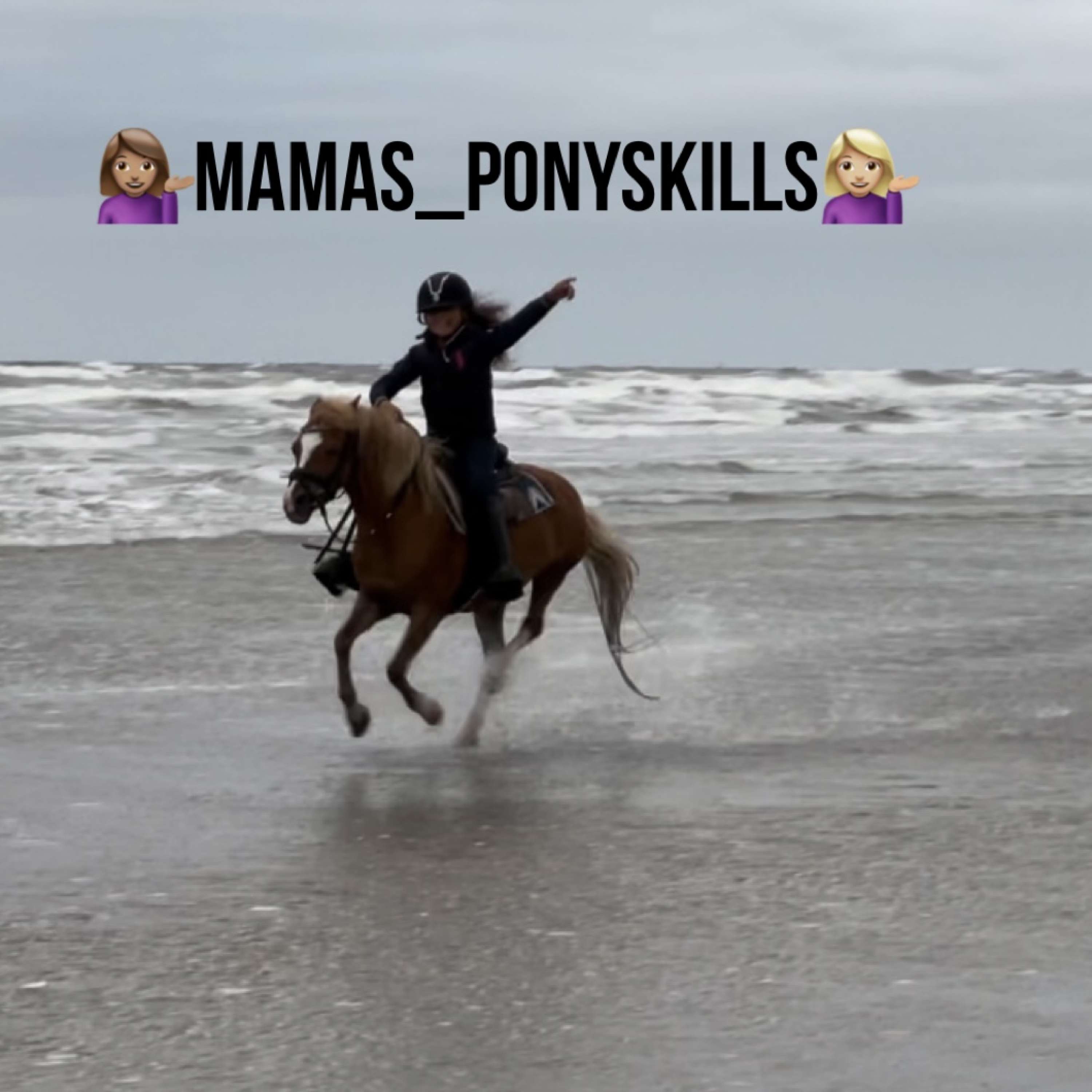 Mamas_Ponyskills logo