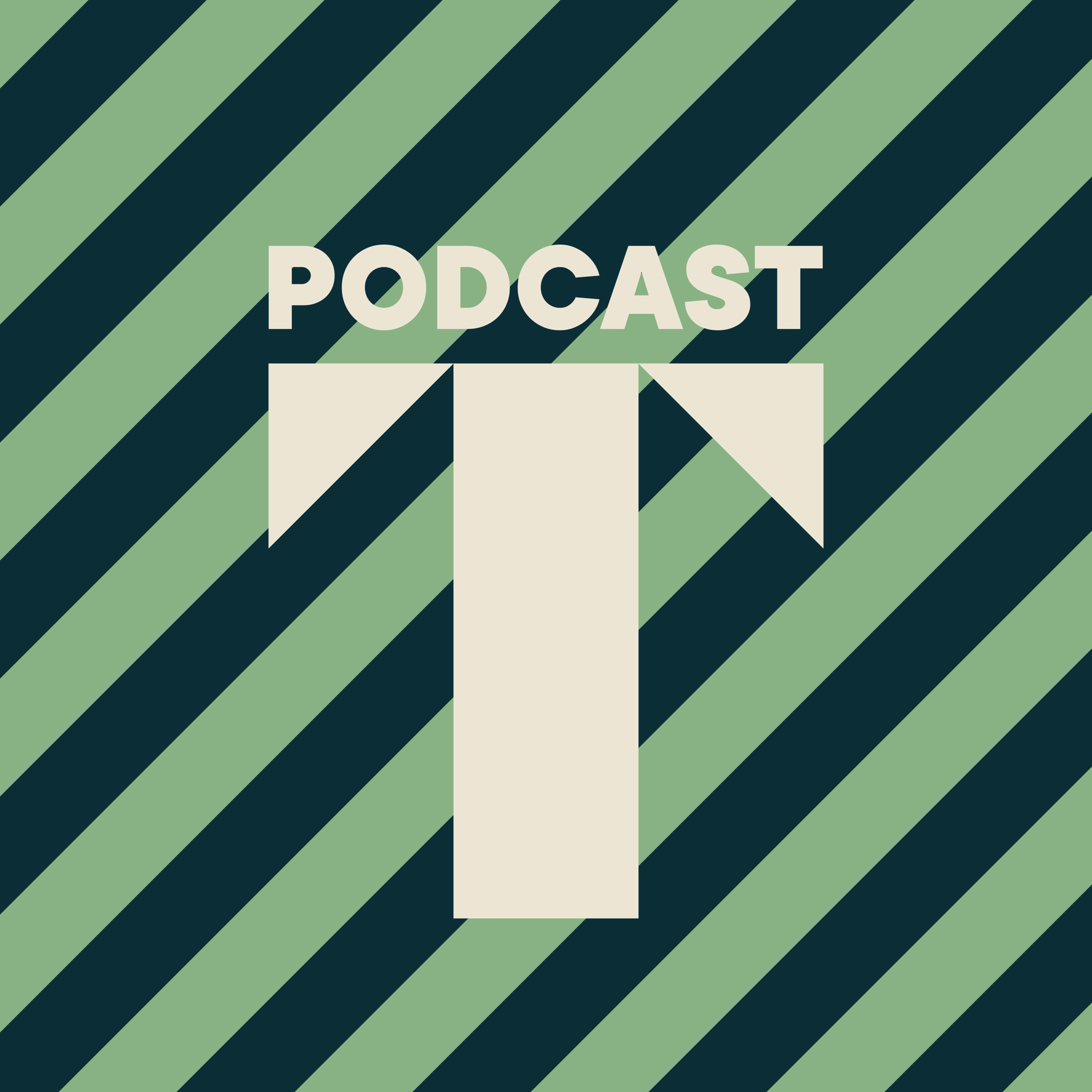 De Ovale Zaal #2 - CERN aan het Spaarne