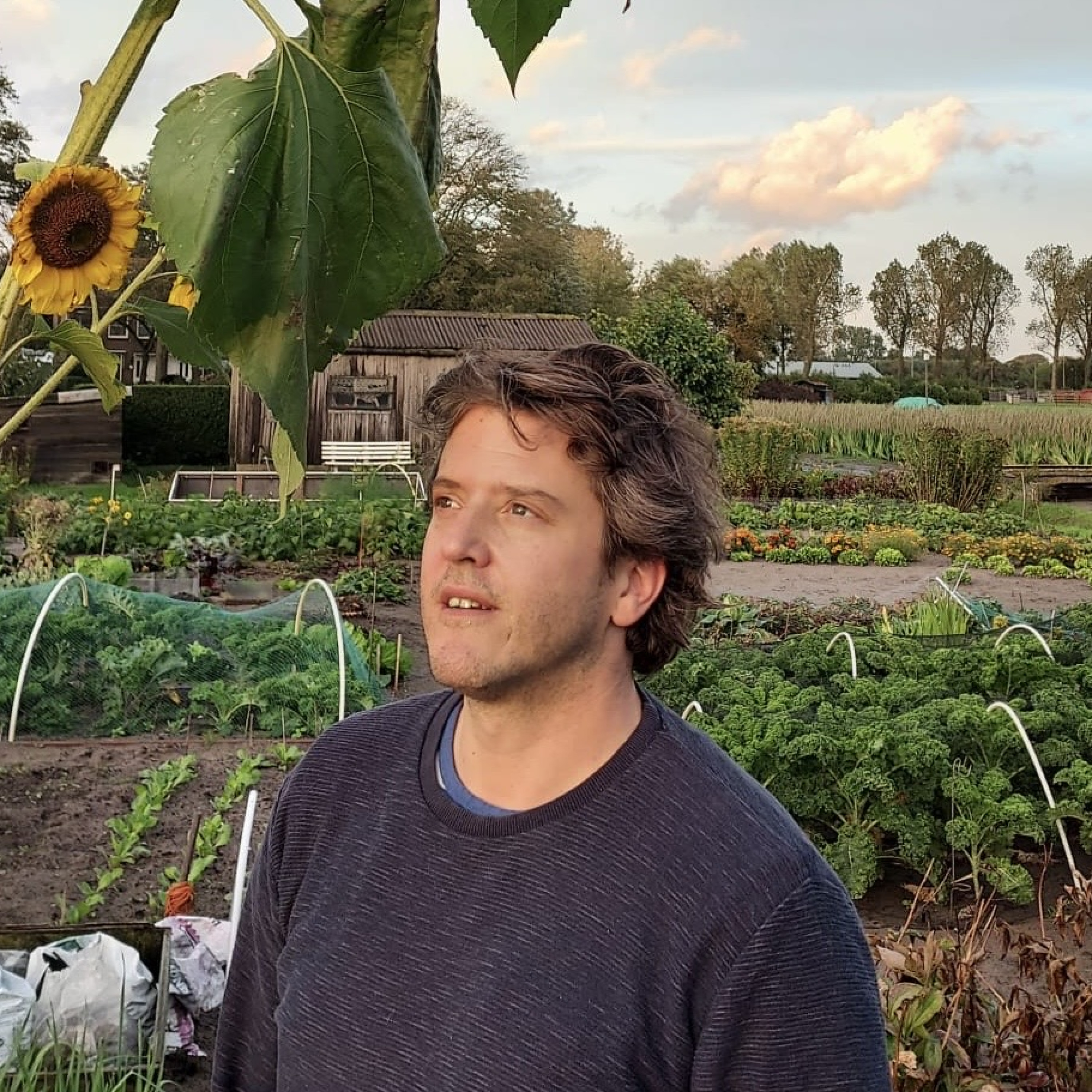 Proef het verhaal van Amsterdam