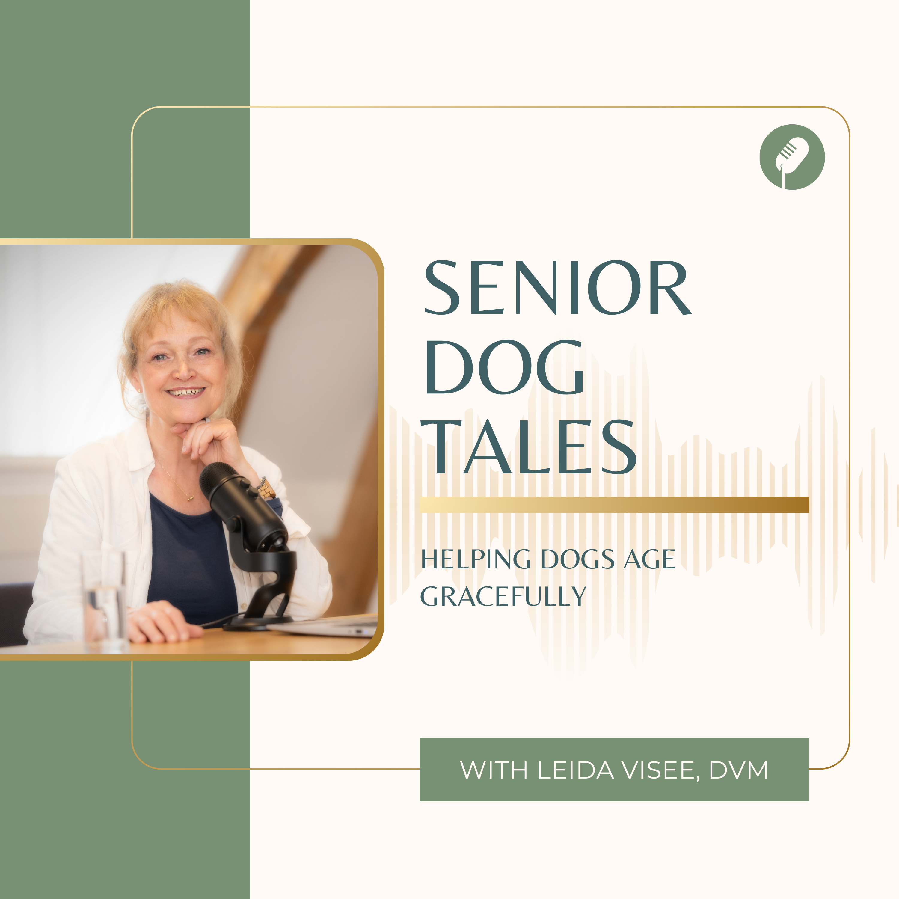 Senior Dog Tales