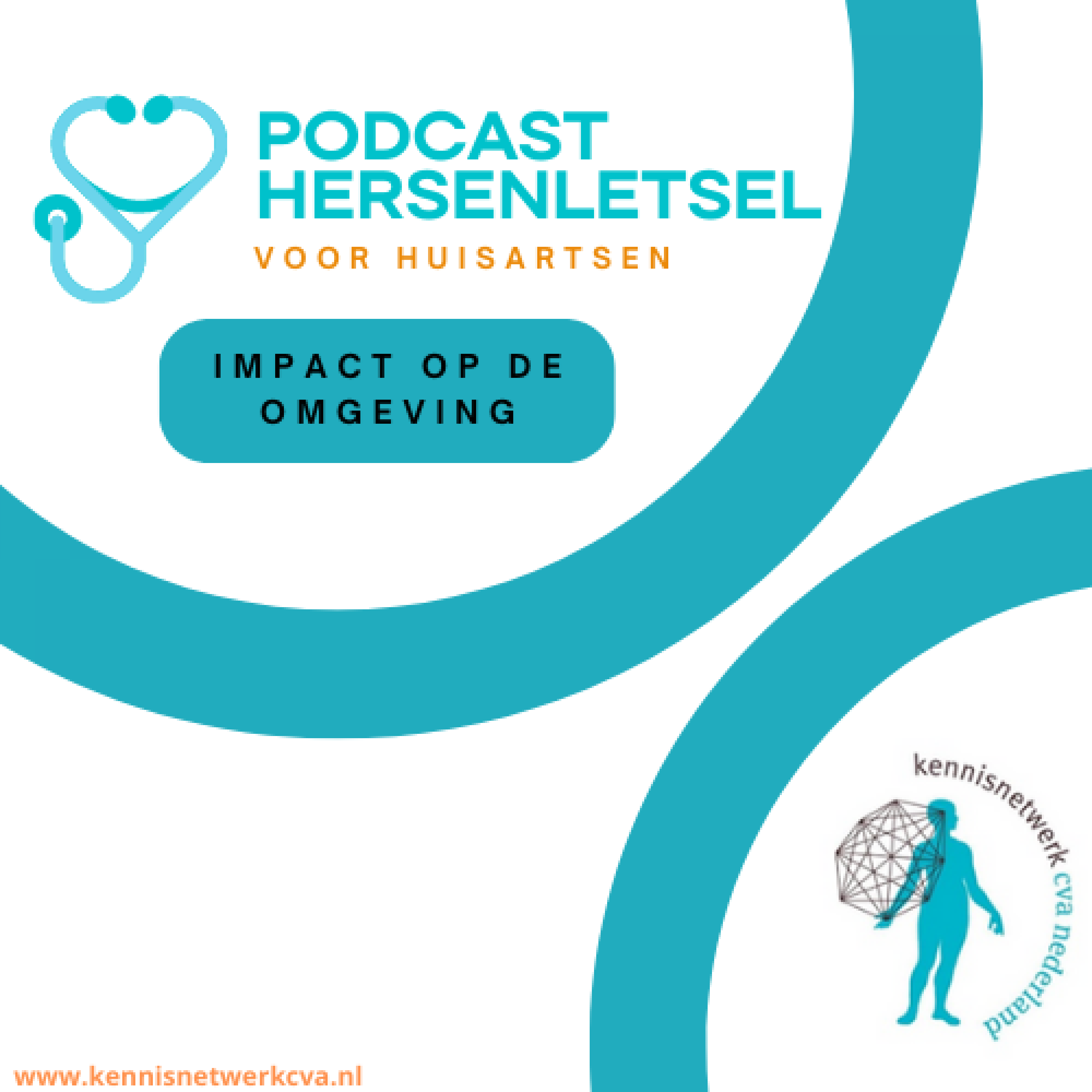 De impact van Niet aangeboren hersenletsel op de omgeving De impact van Niet aangeboren hersenletsel op de omgeving