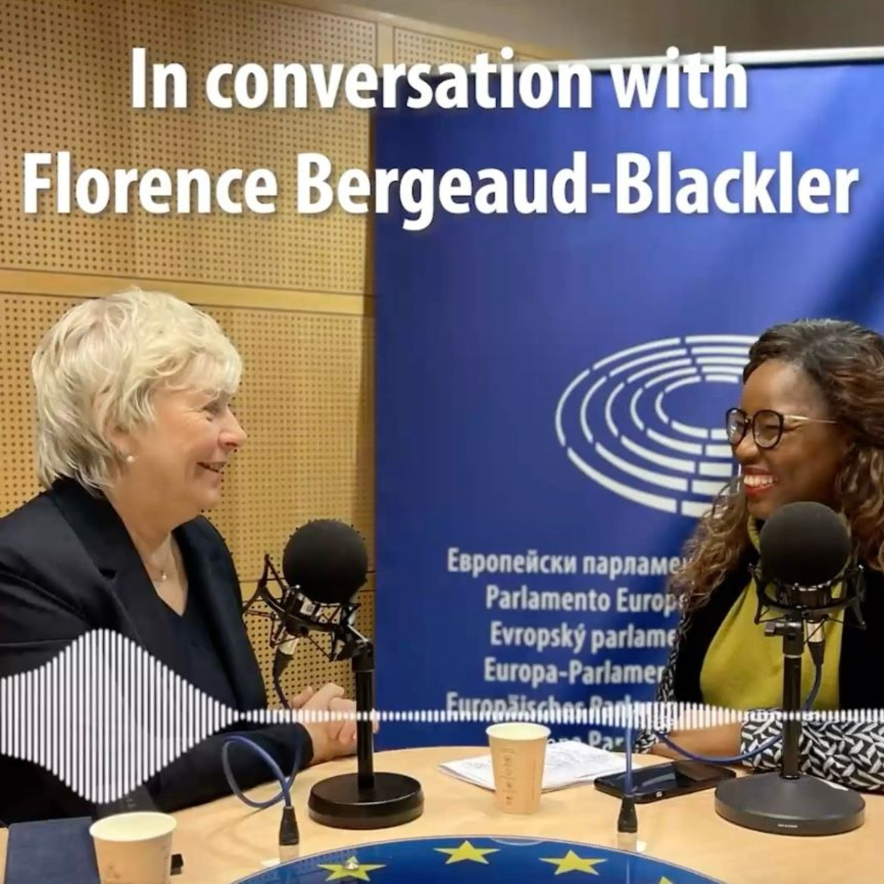 7. Conversation with Florence Bergeaud-Blackler author of the bestseller "Le frérisme et ses réseaux - L'enquête"(English version) episode artwork