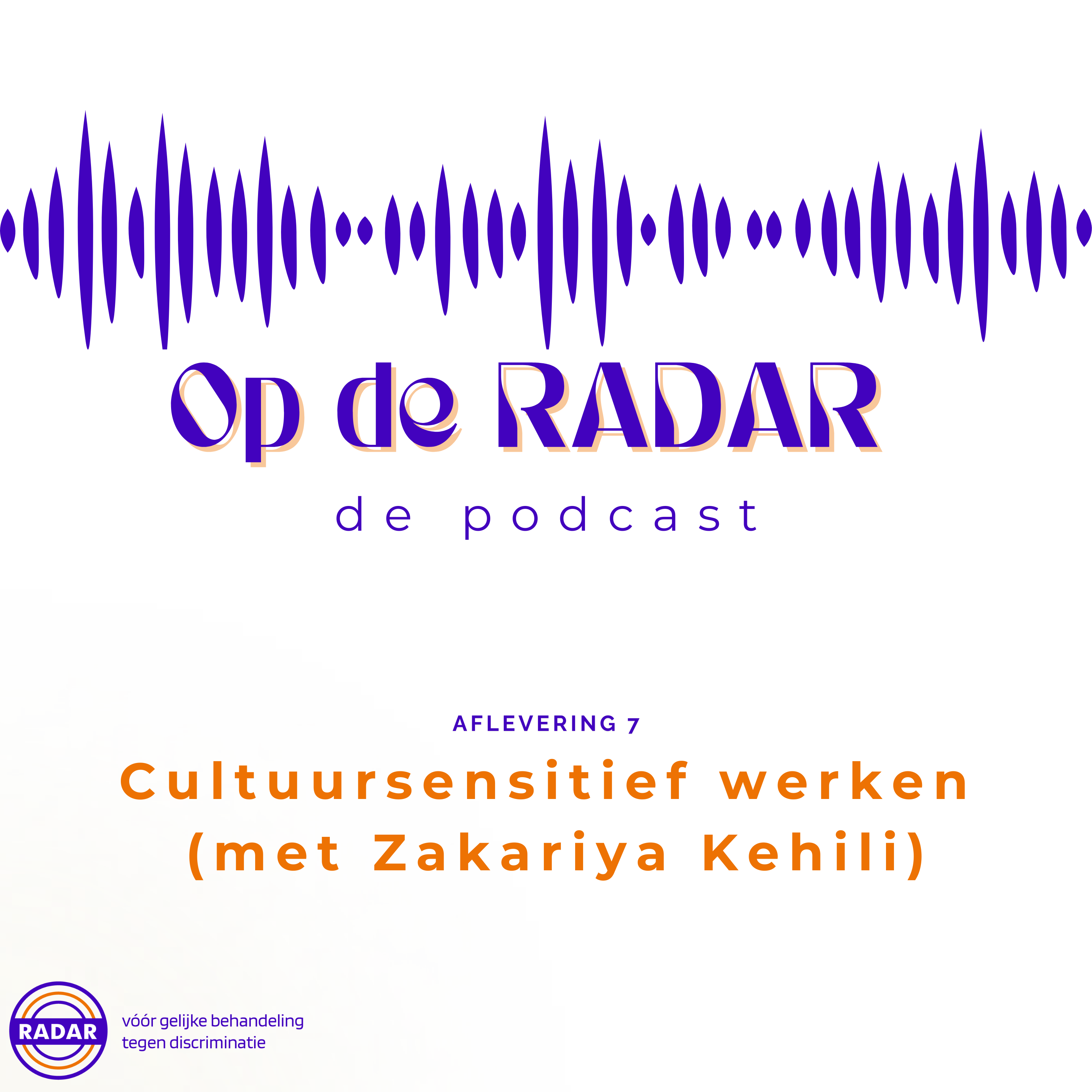 #7. Cultuursensitief werken episode artwork