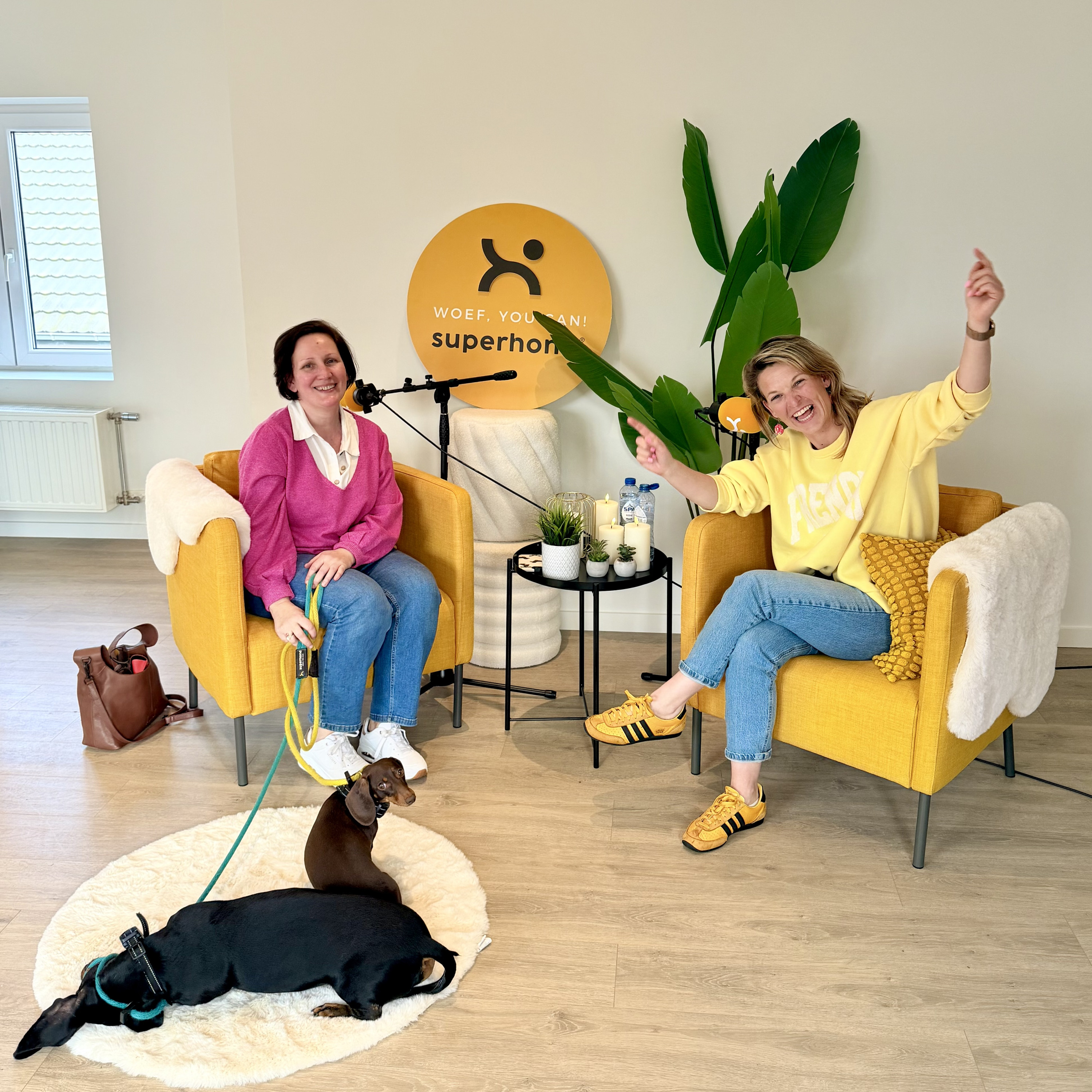 Twee teckels, één grote shift: erin geloven als sleutel tot verandering X Annick #23 Twee teckels, één grote shift: erin geloven als sleutel tot verandering X Annick #23