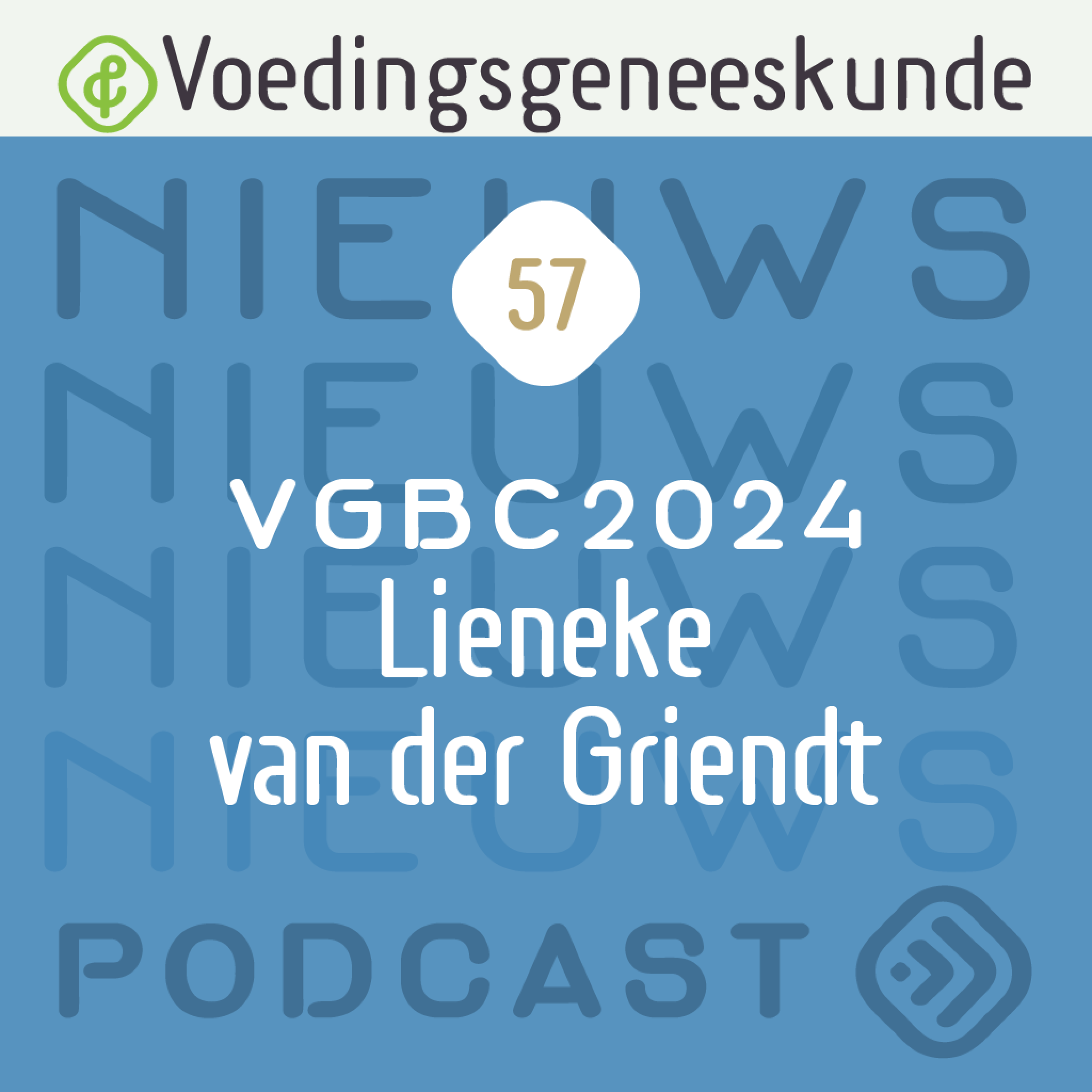 Lieneke blikt terug op VGBC2024 episode artwork