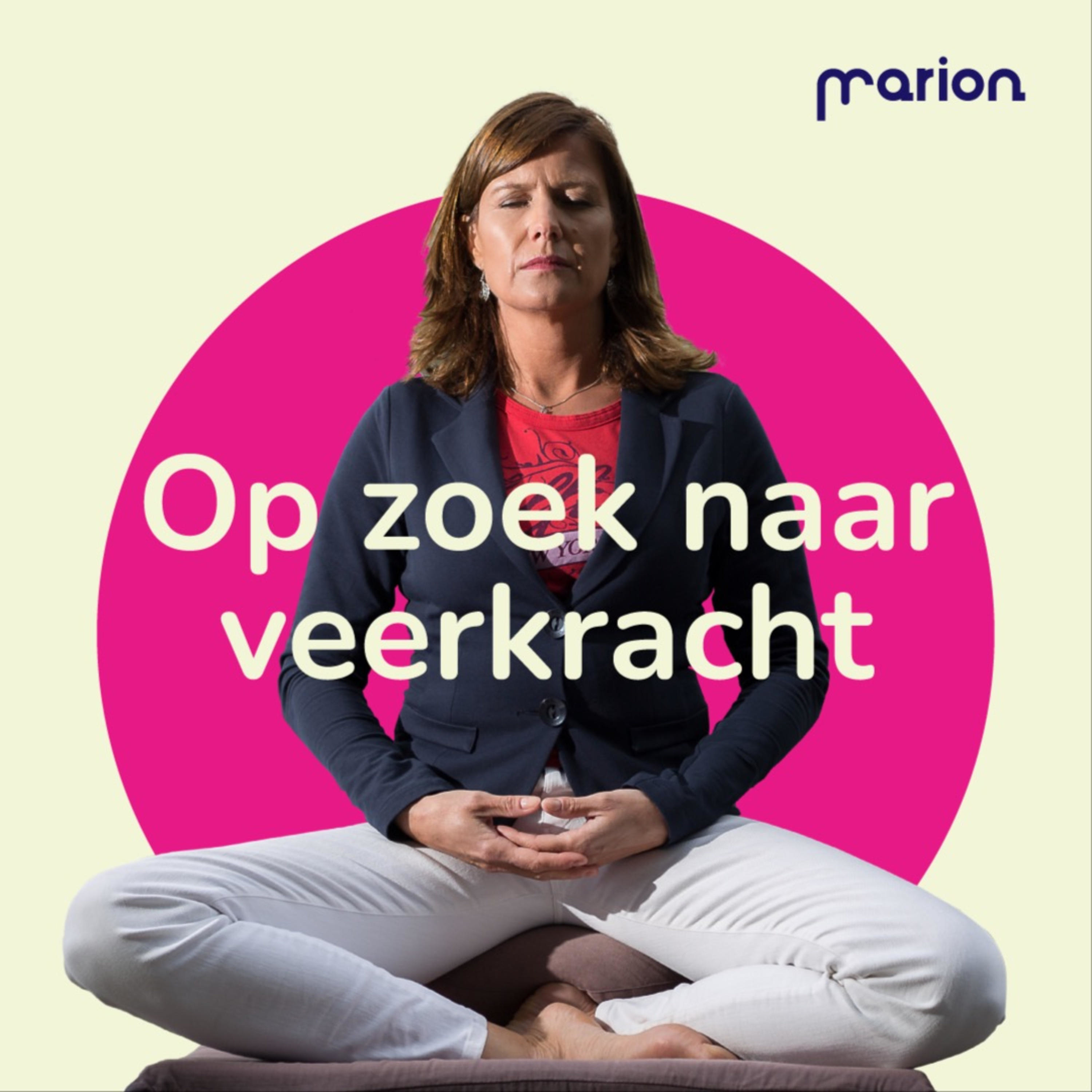 Op zoek naar Veerkracht