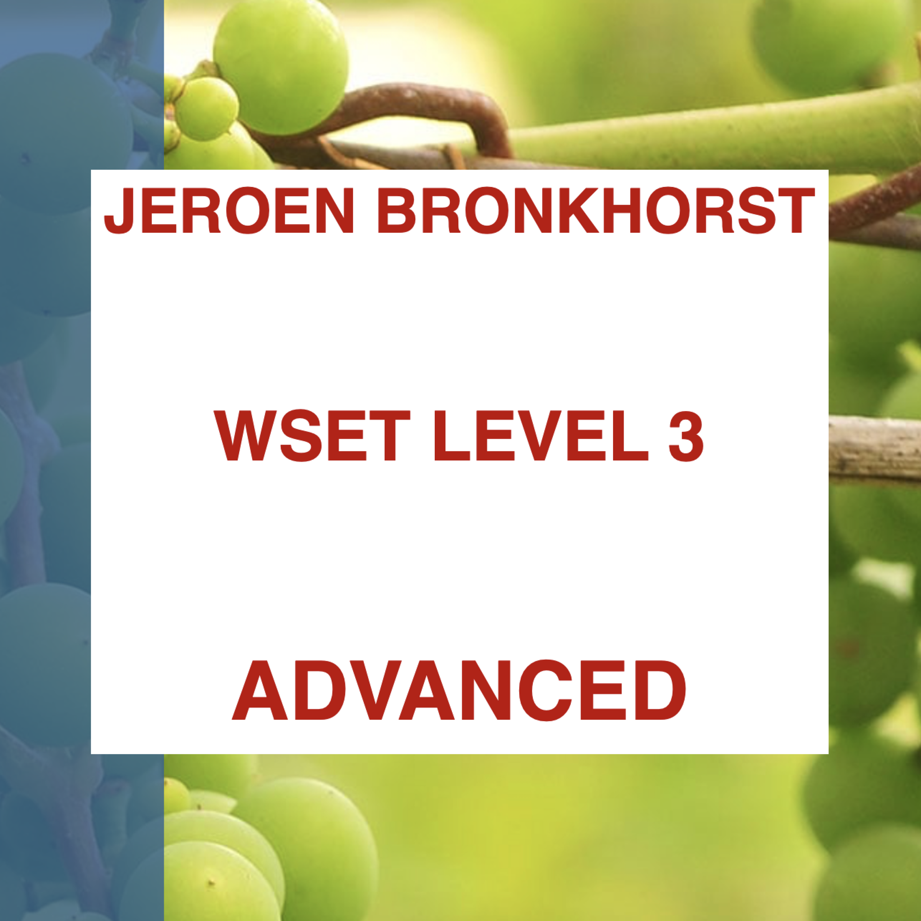 Wijn Advanced – WSET level 3