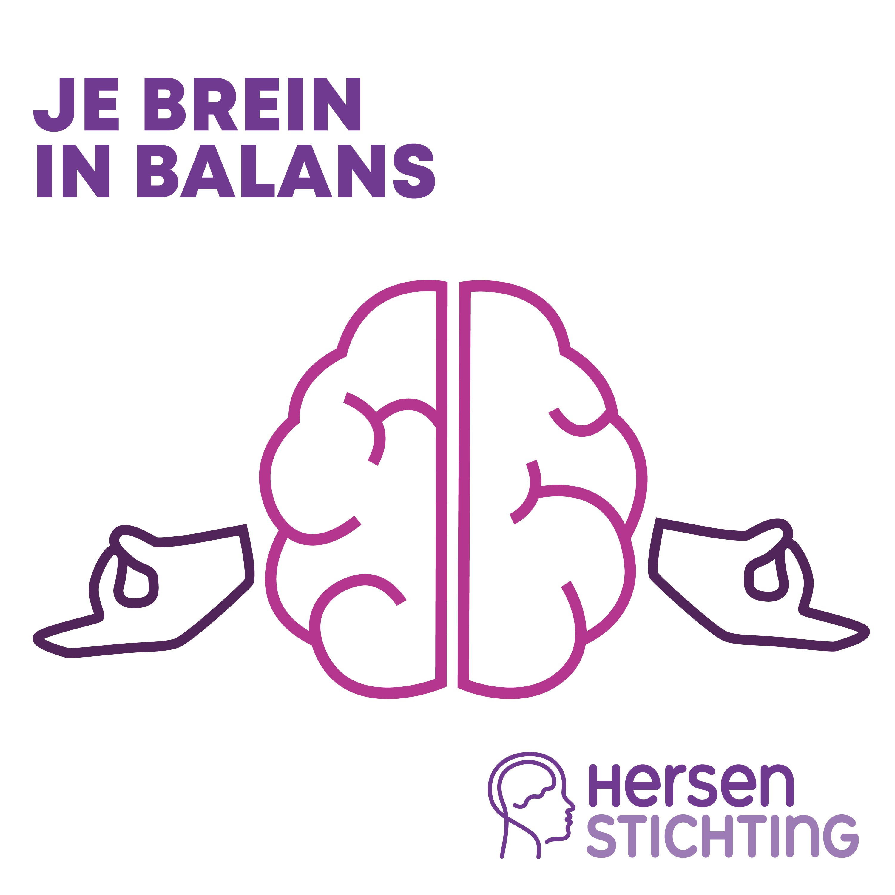 Je Brein in Balans 5 - Idea