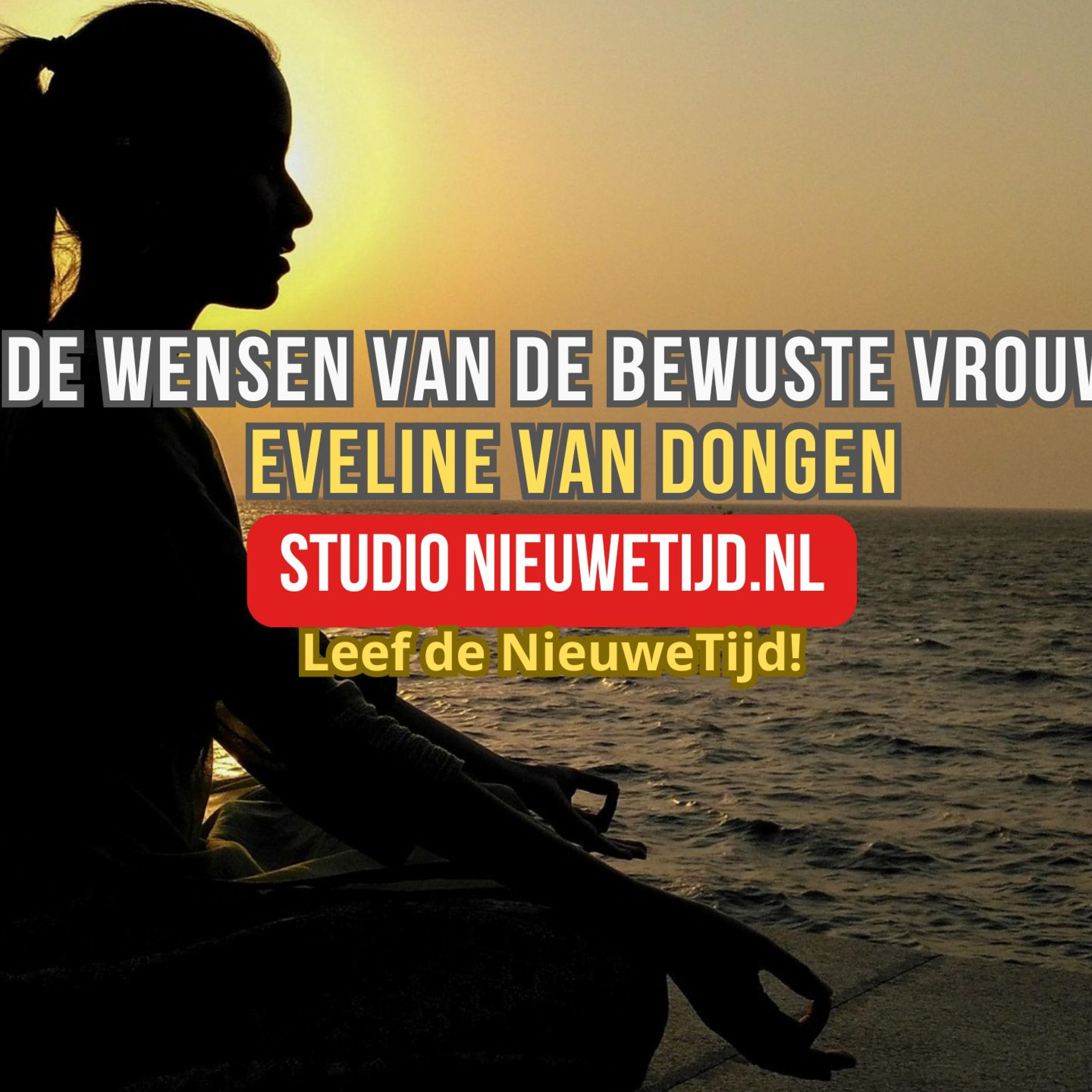 De wensen van de bewuste vrouw episode artwork