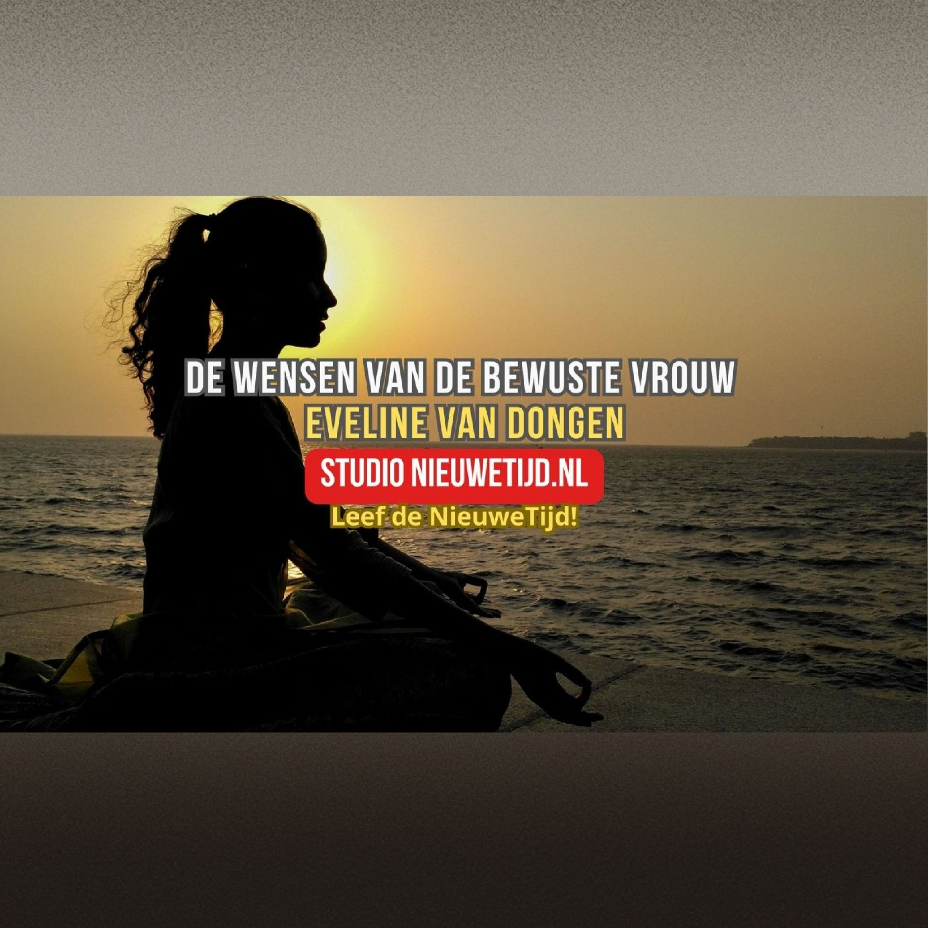 De wensen van de bewuste vrouw episode artwork