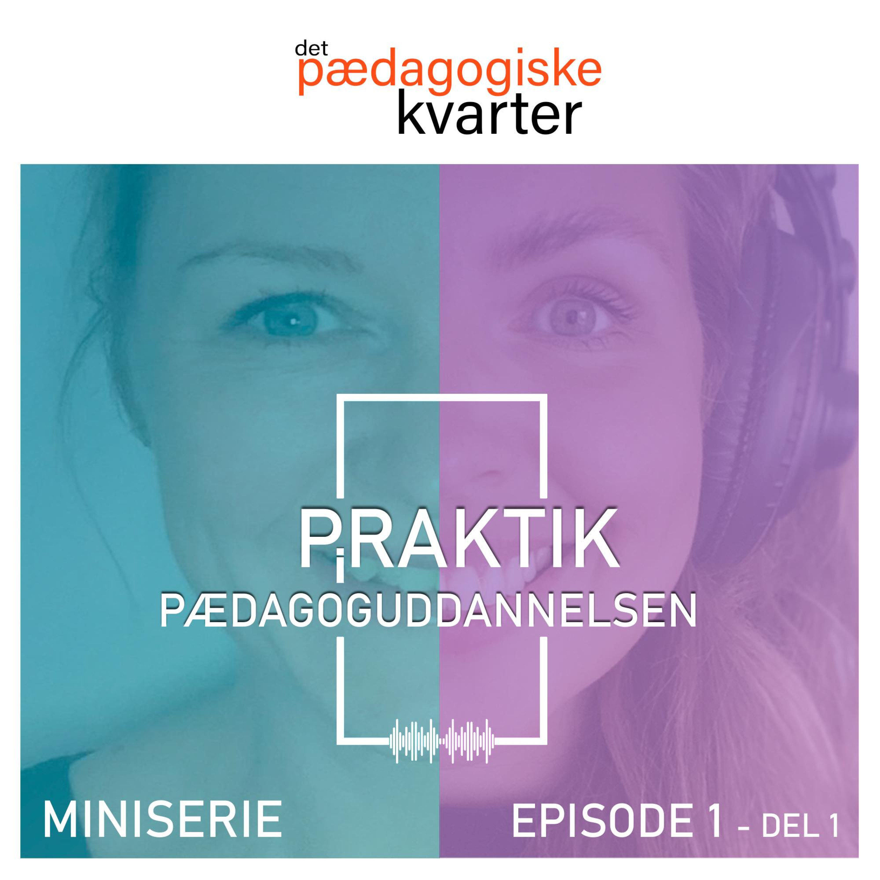 Det pædagogiske kvarter