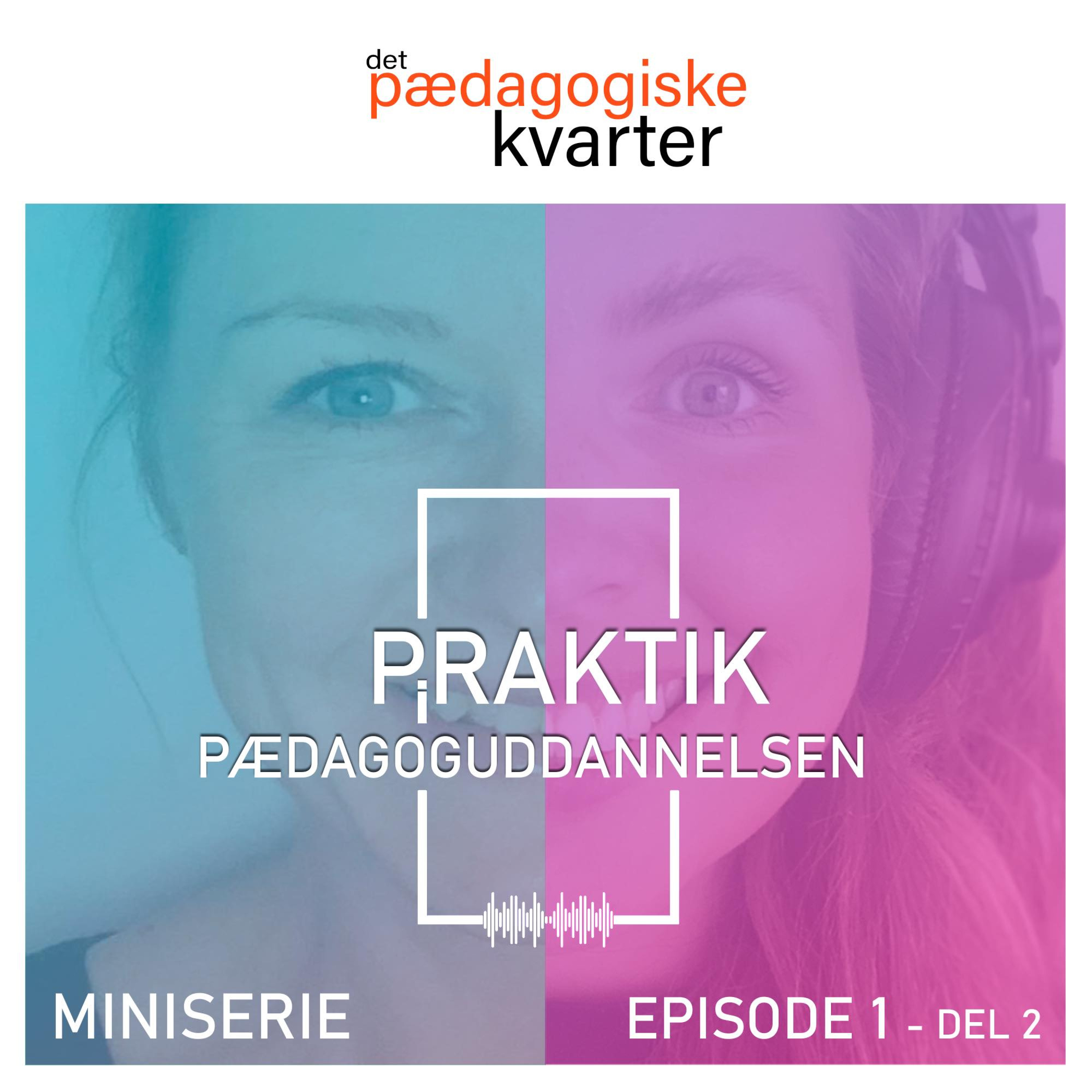 Det pædagogiske kvarter