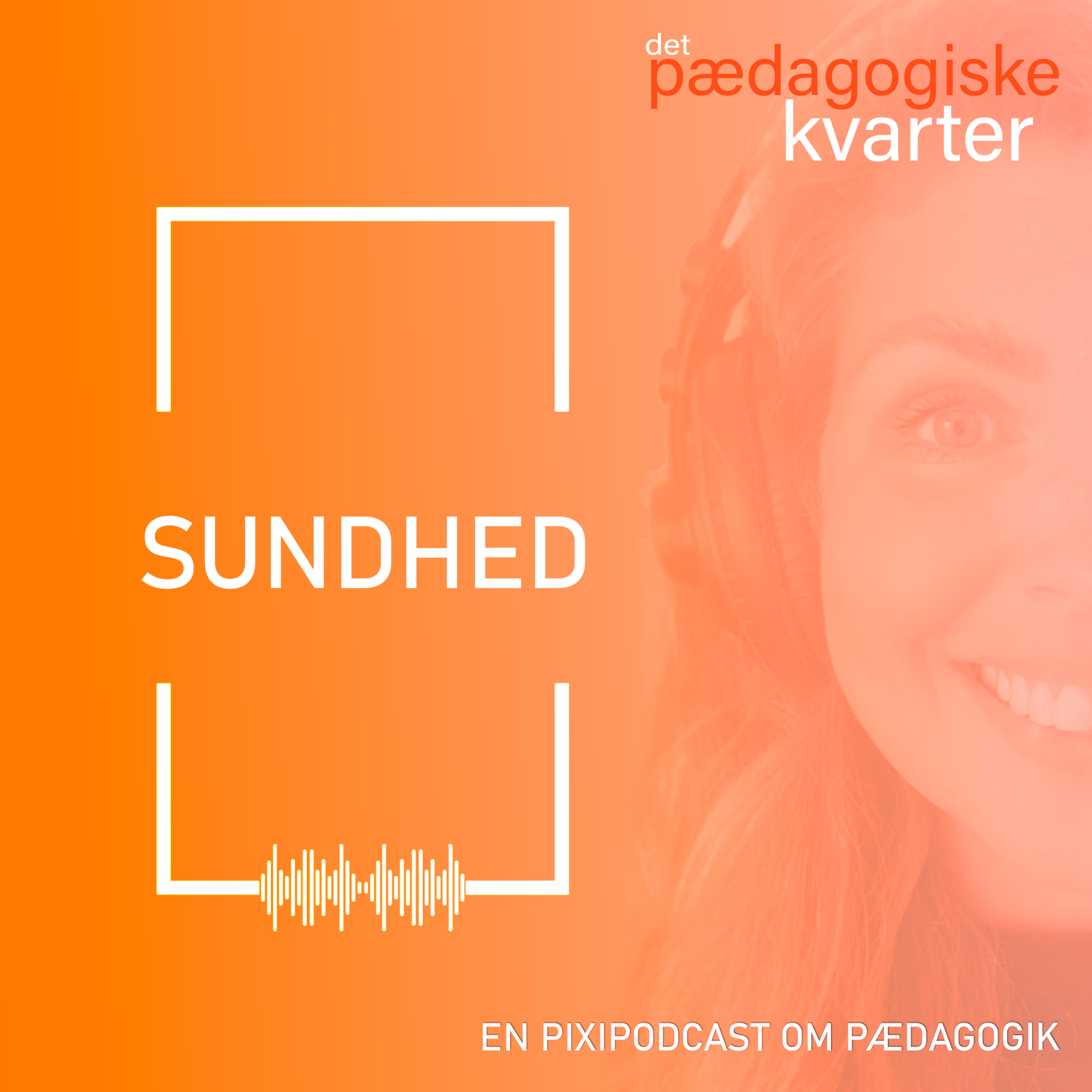 Det pædagogiske kvarter