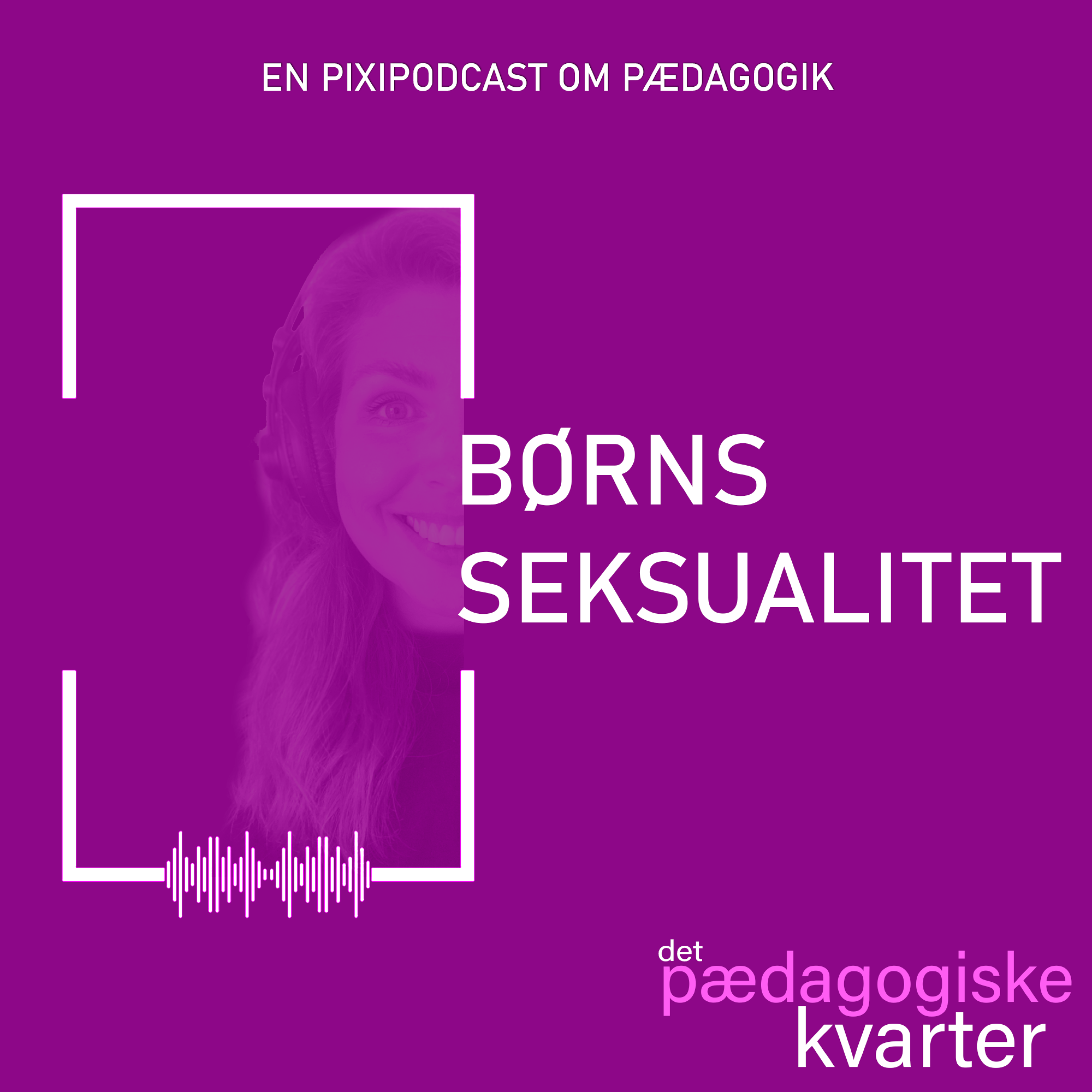 Det pædagogiske kvarter