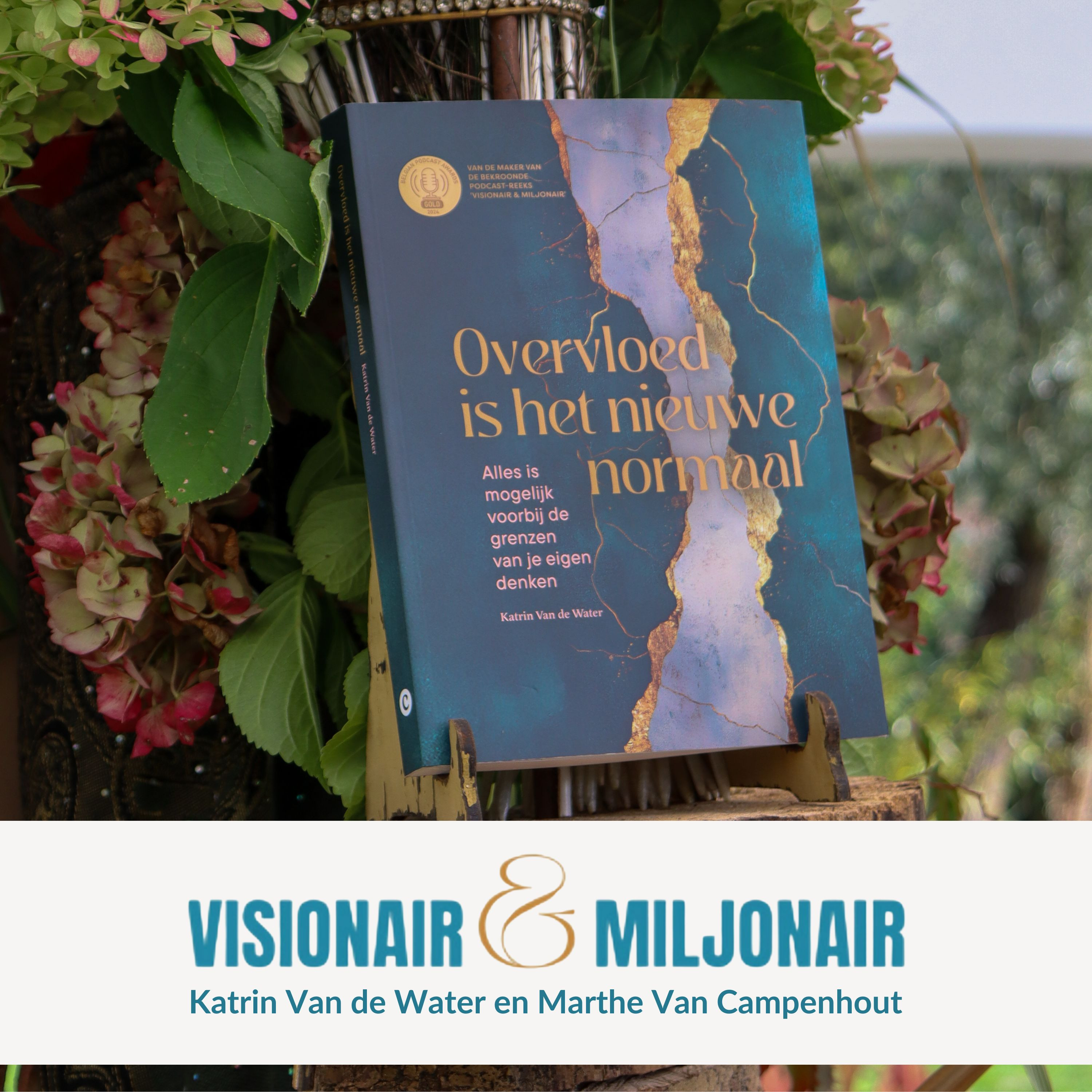 Visionair & Miljonair