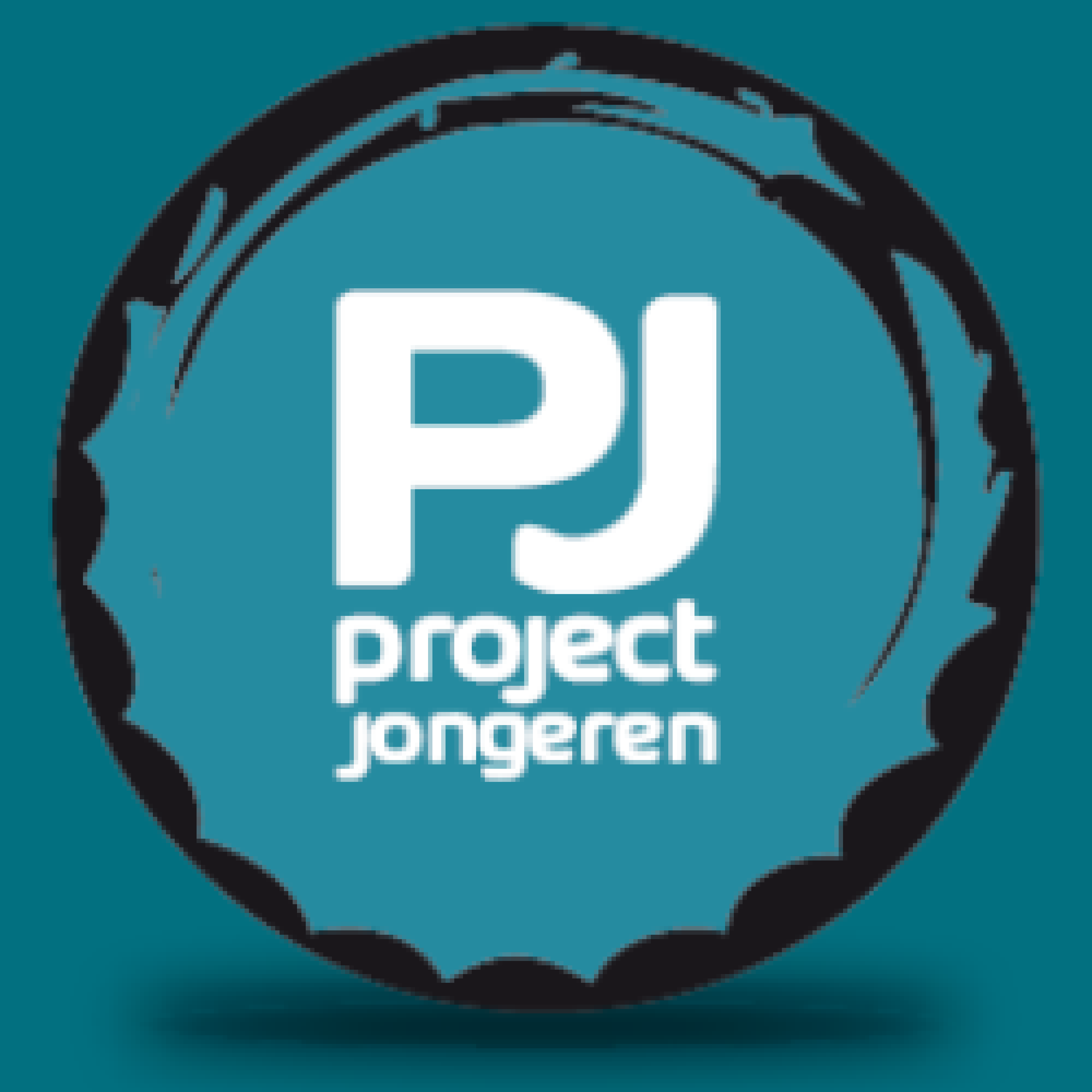#27_Project Jongeren en alcoholsensibilisering bij jongeren