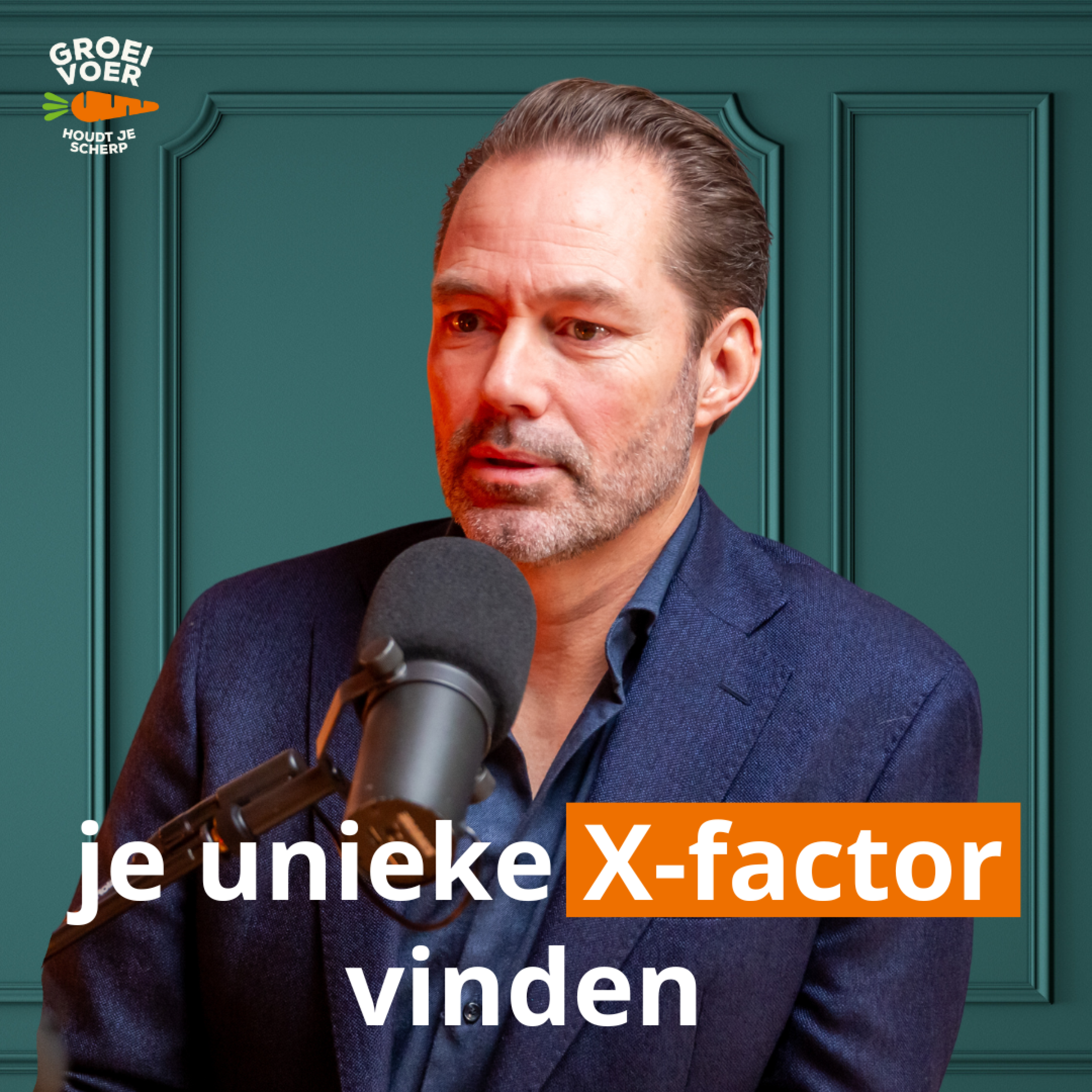 Jouw schaalbare X-factor. Jeffrey Werner met zijn methode om van 100K naar 1 miljoen te groeien | Afl. 308 episode artwork