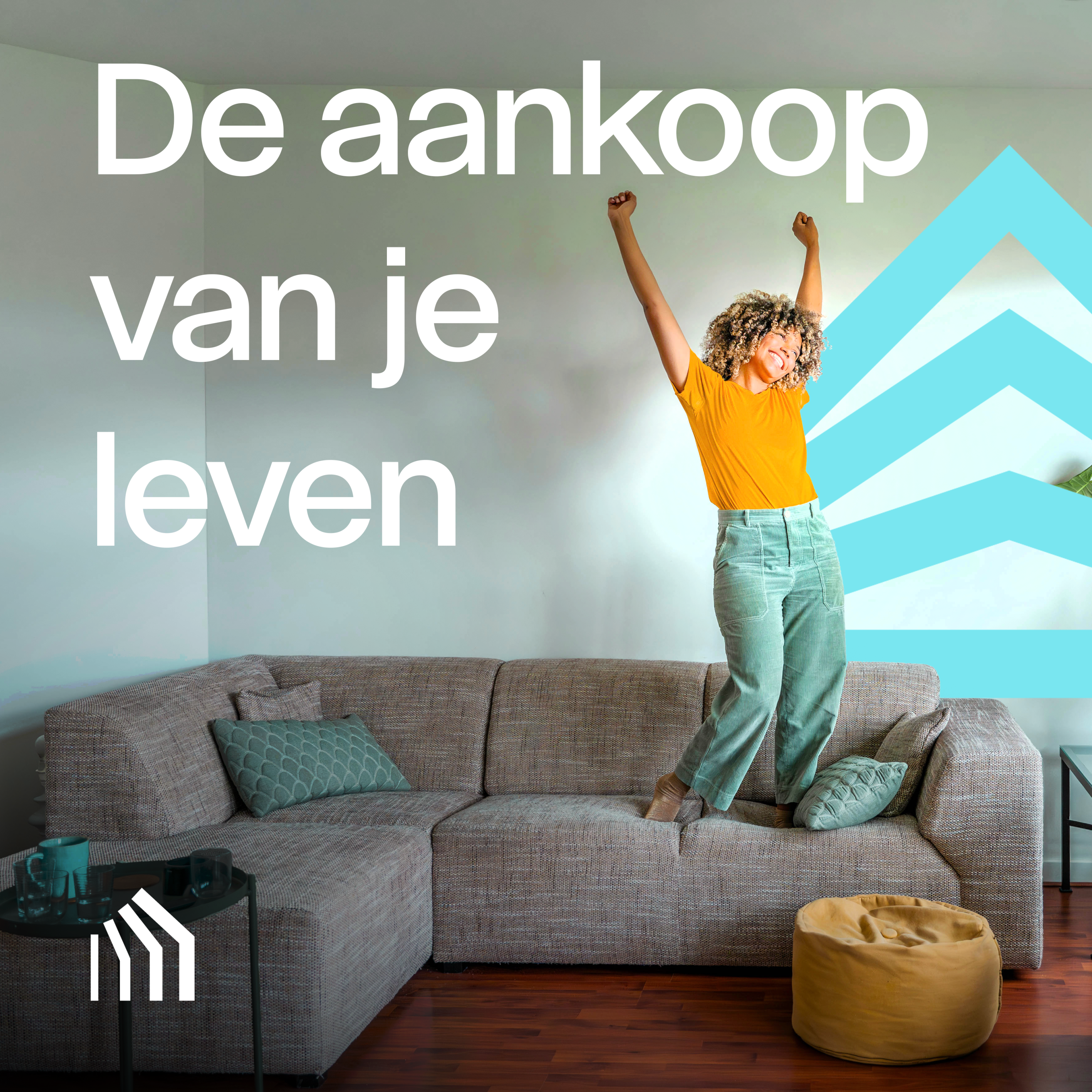 De aankoop van je leven
