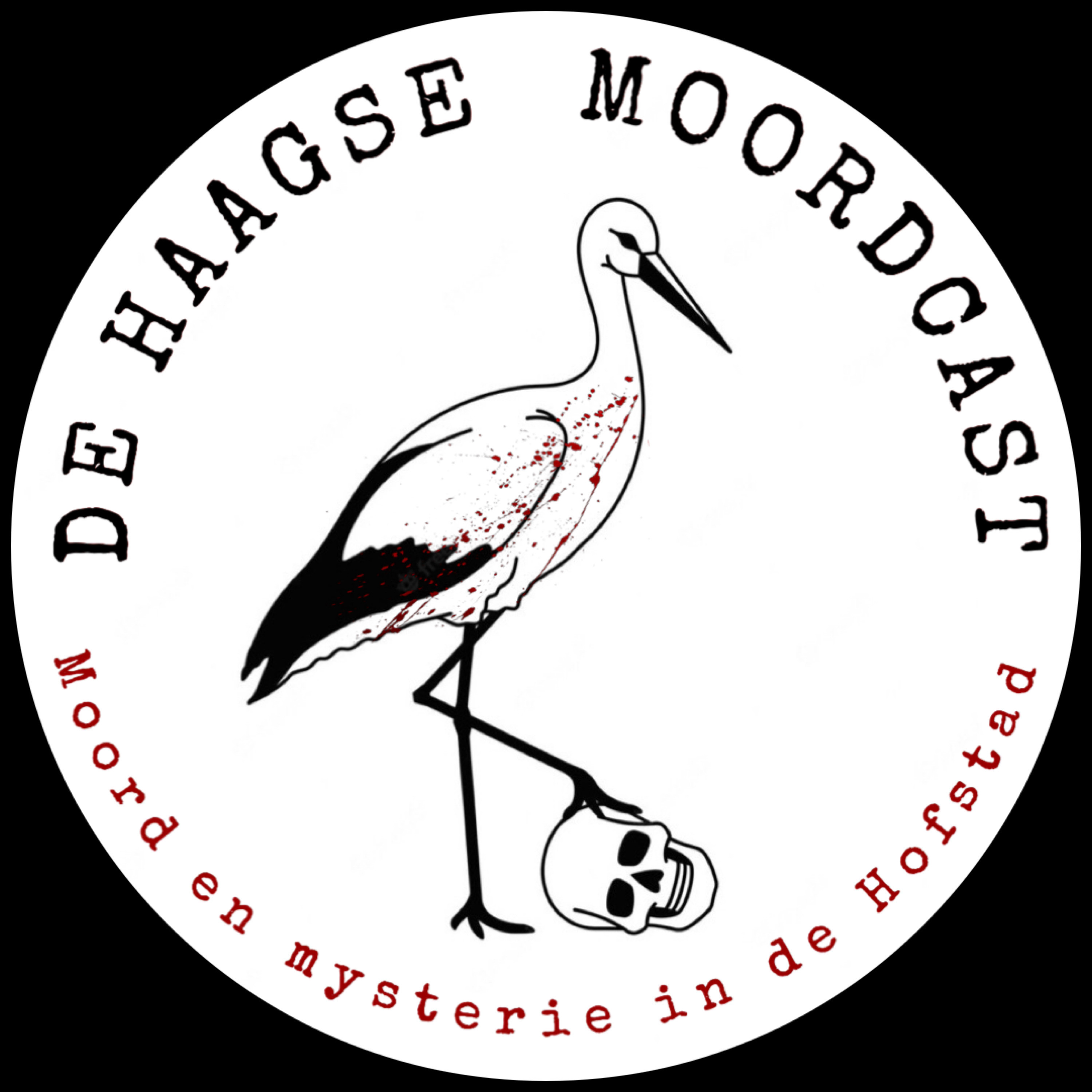 Een Haagse Kindermoord episode artwork