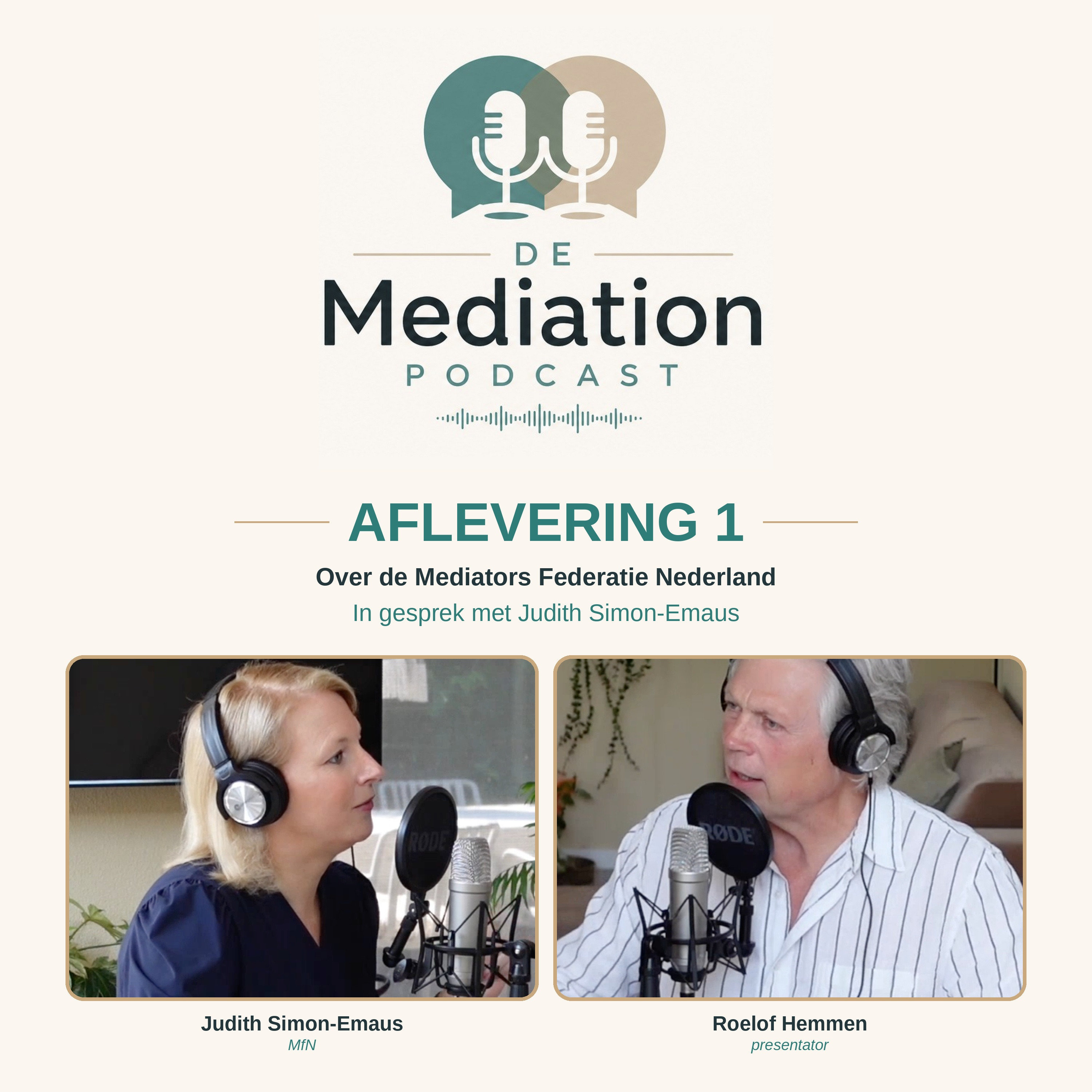 De Mediators Federatie Nederland. In gesprek met Judith Simon-Emaus van de MfN episode artwork