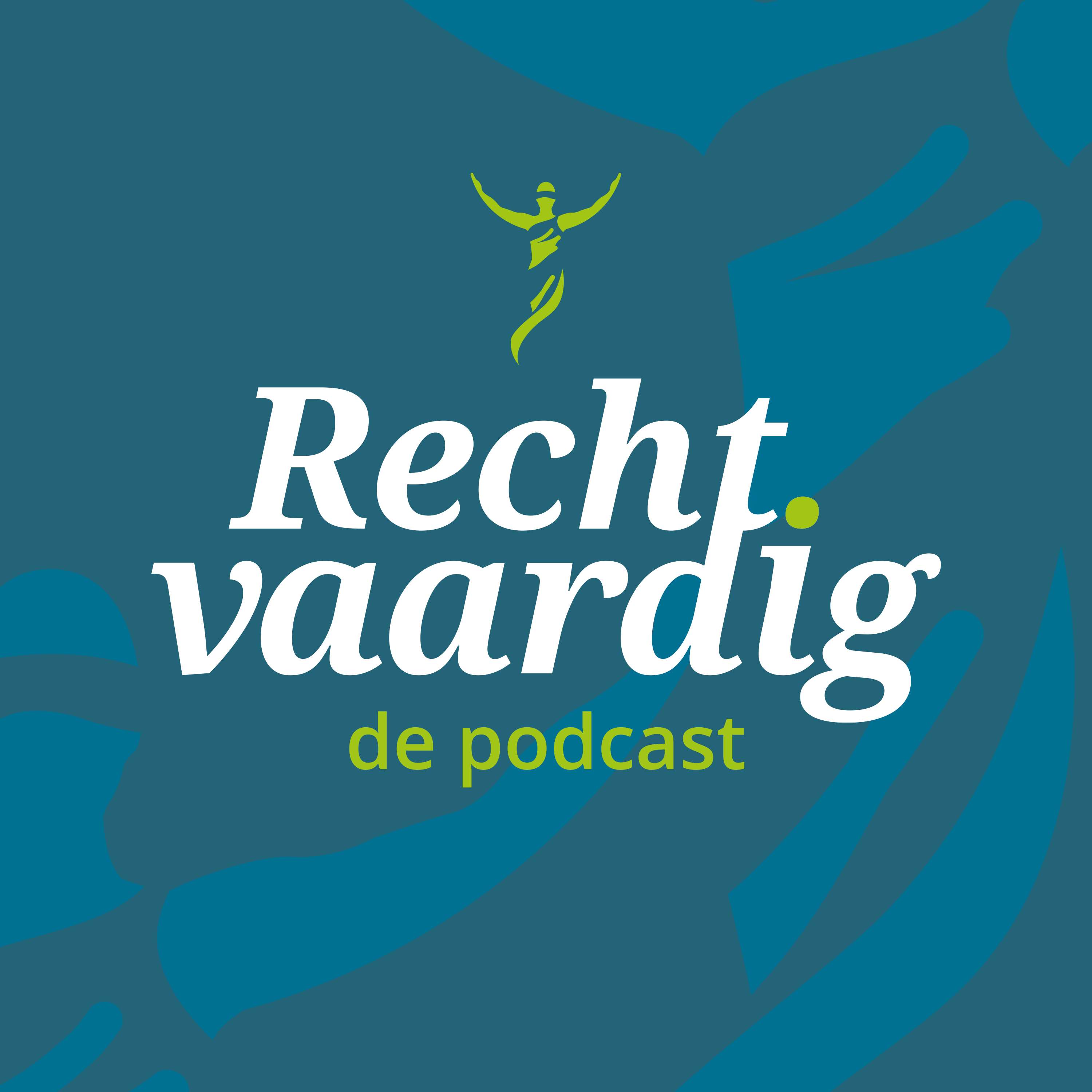 4. Mediationvaardigheden voor juristen