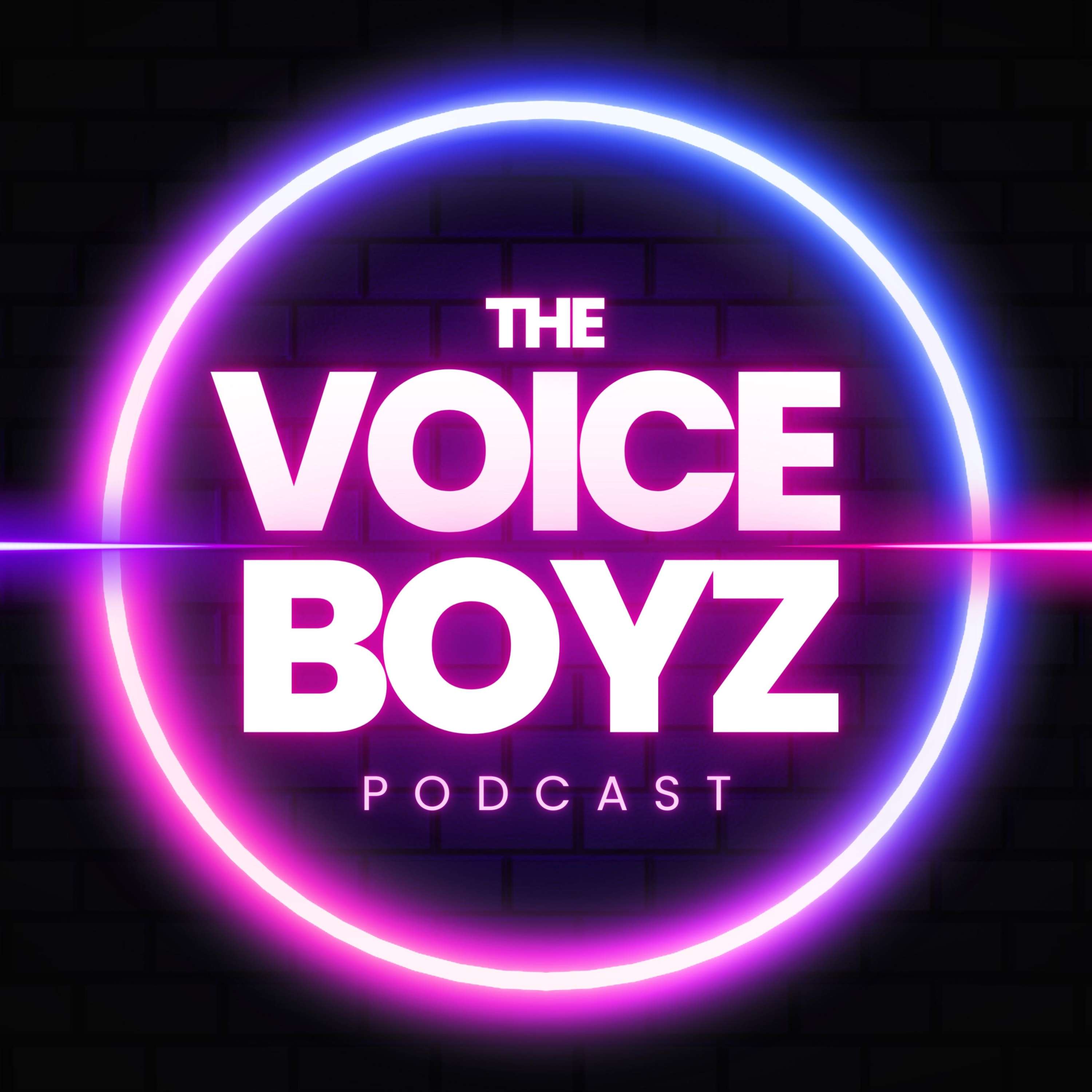Logo The Voice Boyz