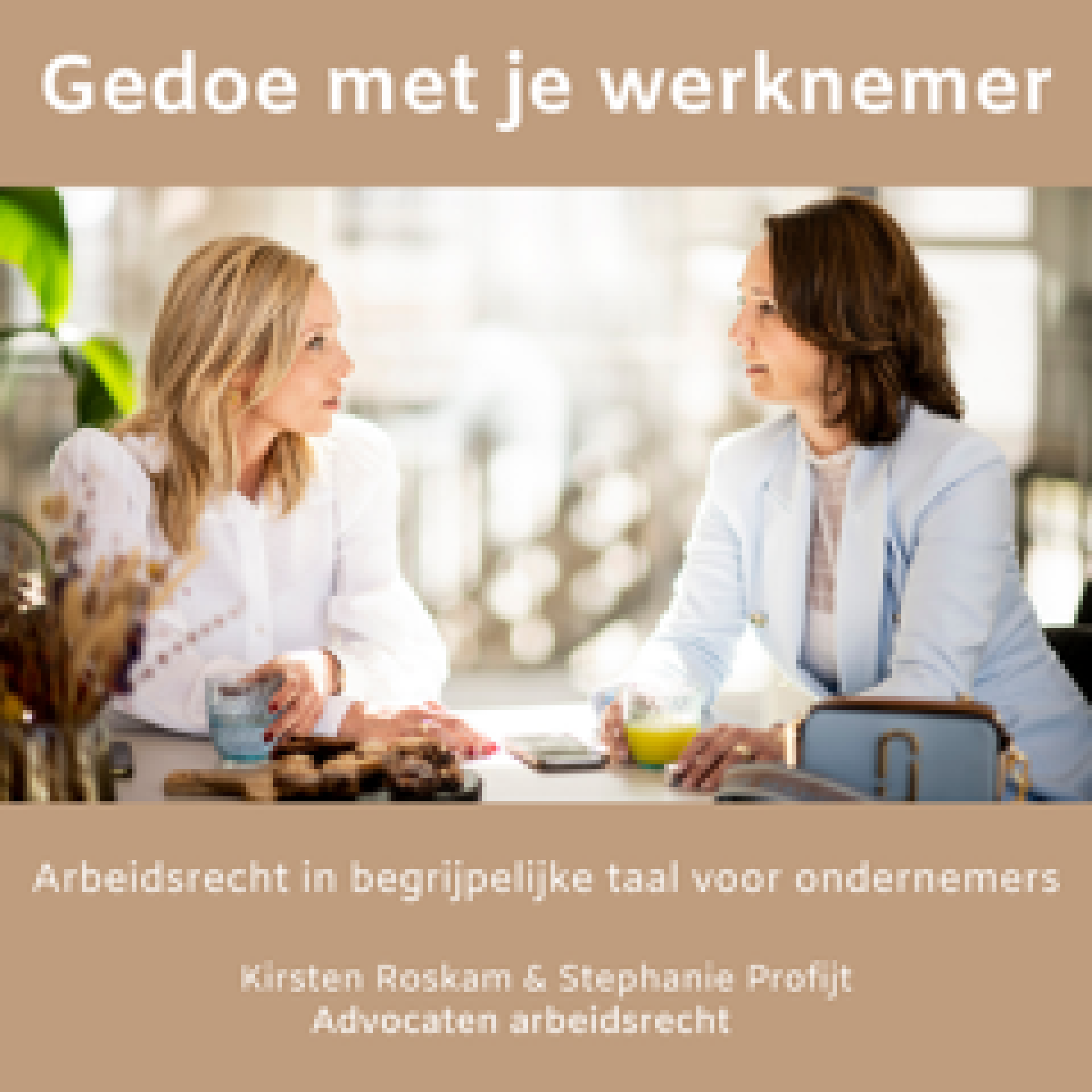 Gedoe met je werknemer podcast artwork