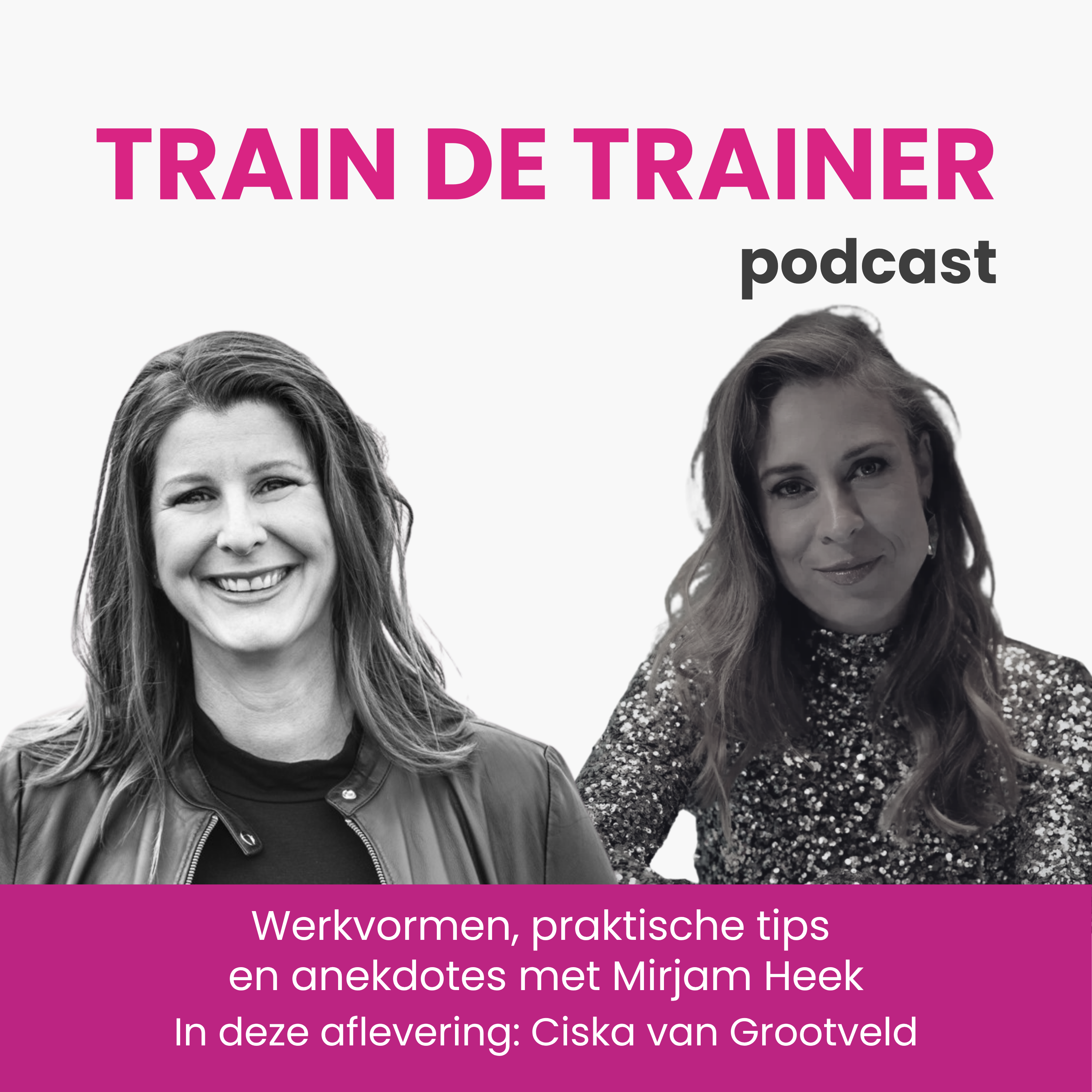 Train de Trainer Podcast