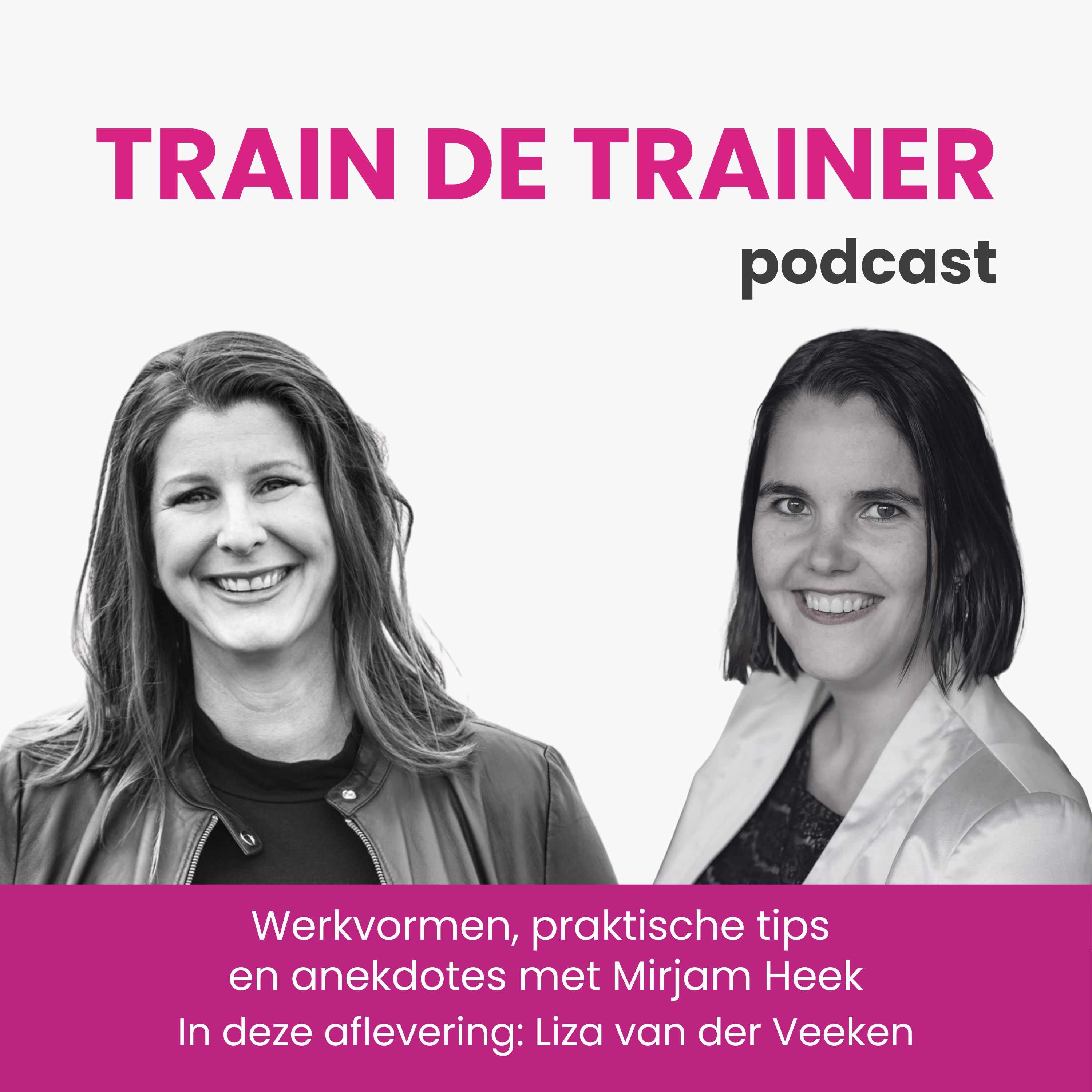 Train de Trainer Podcast