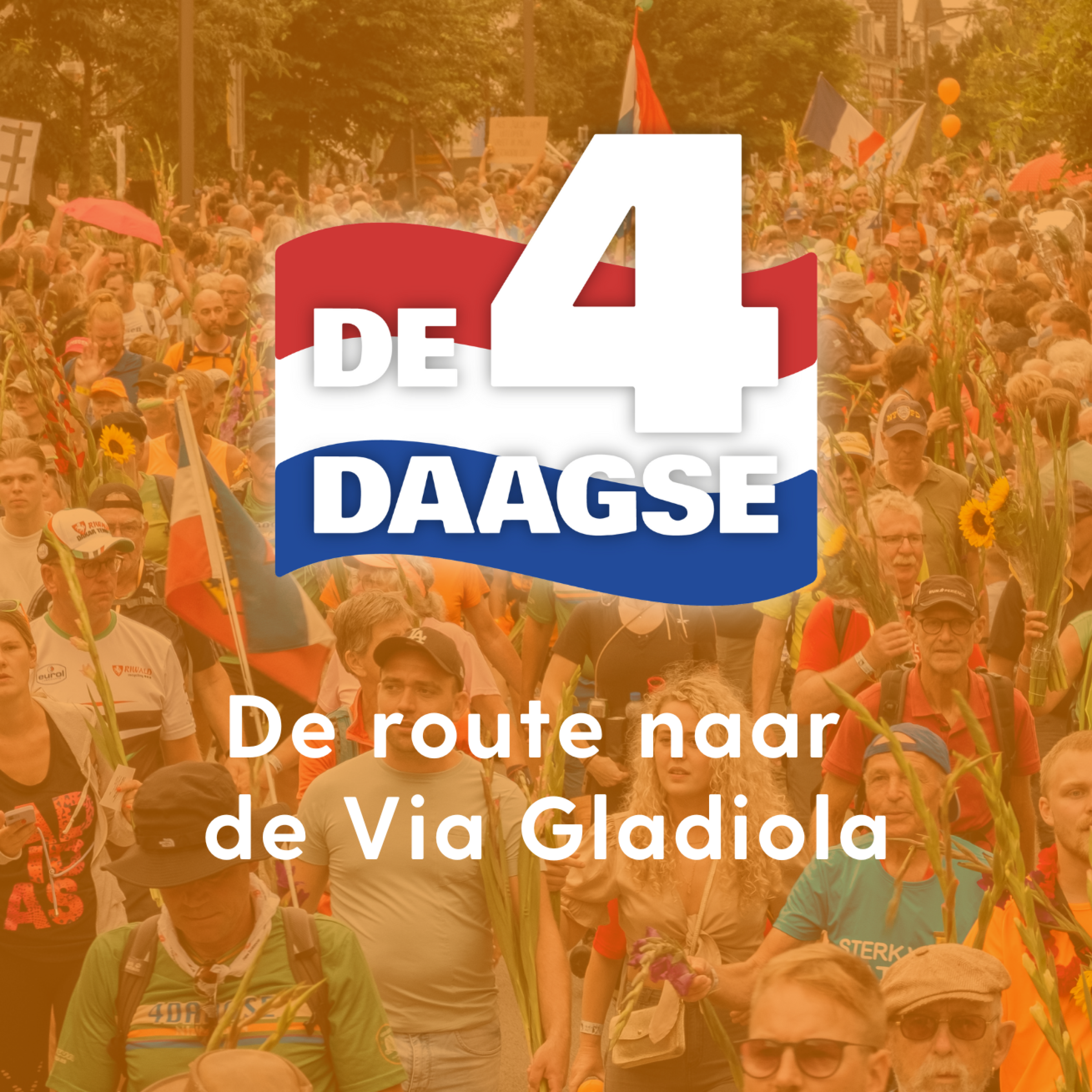 Bijzondere edities van de 4Daagse door de jaren heen