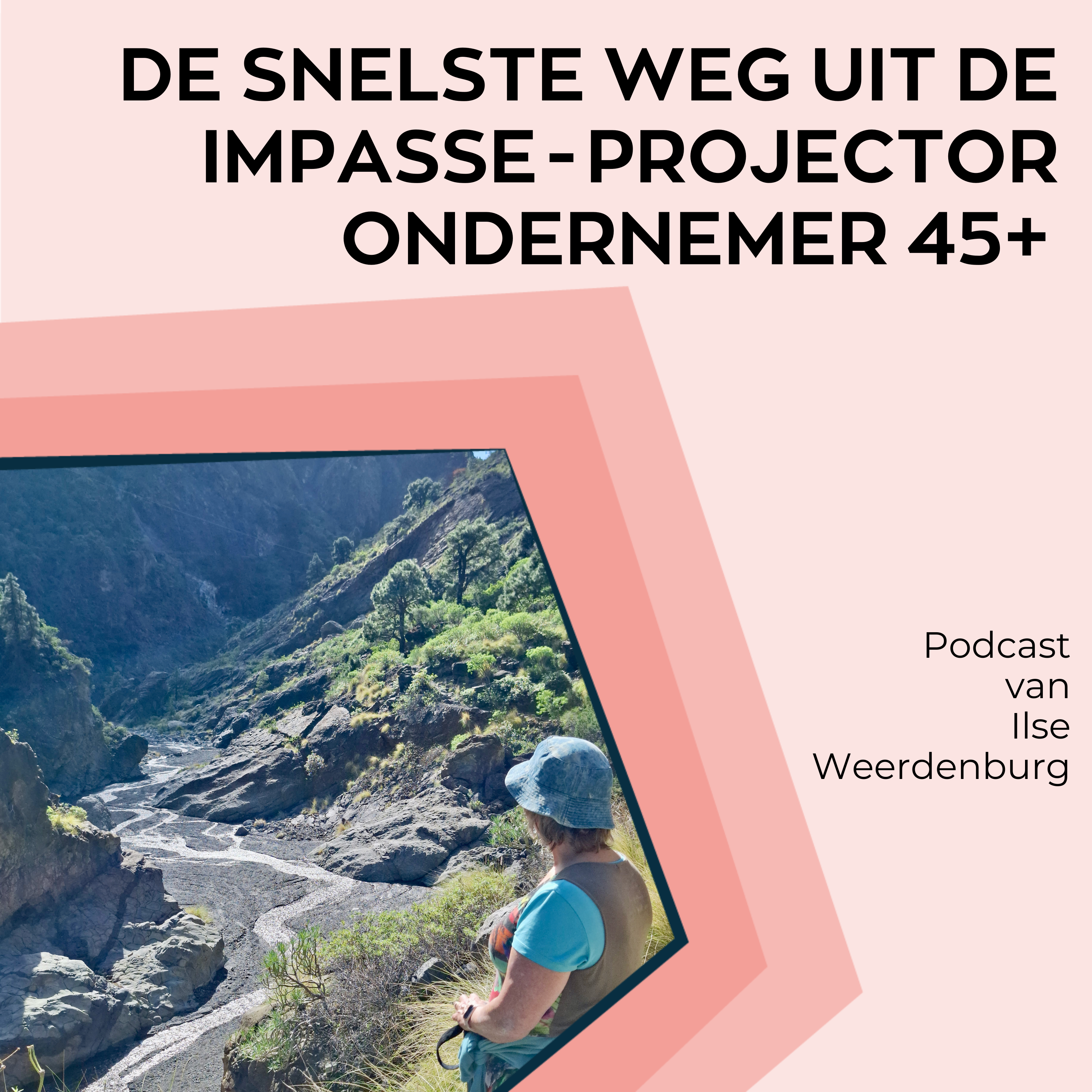 De snelste weg uit de impasse - als projector ondernemer van 45+