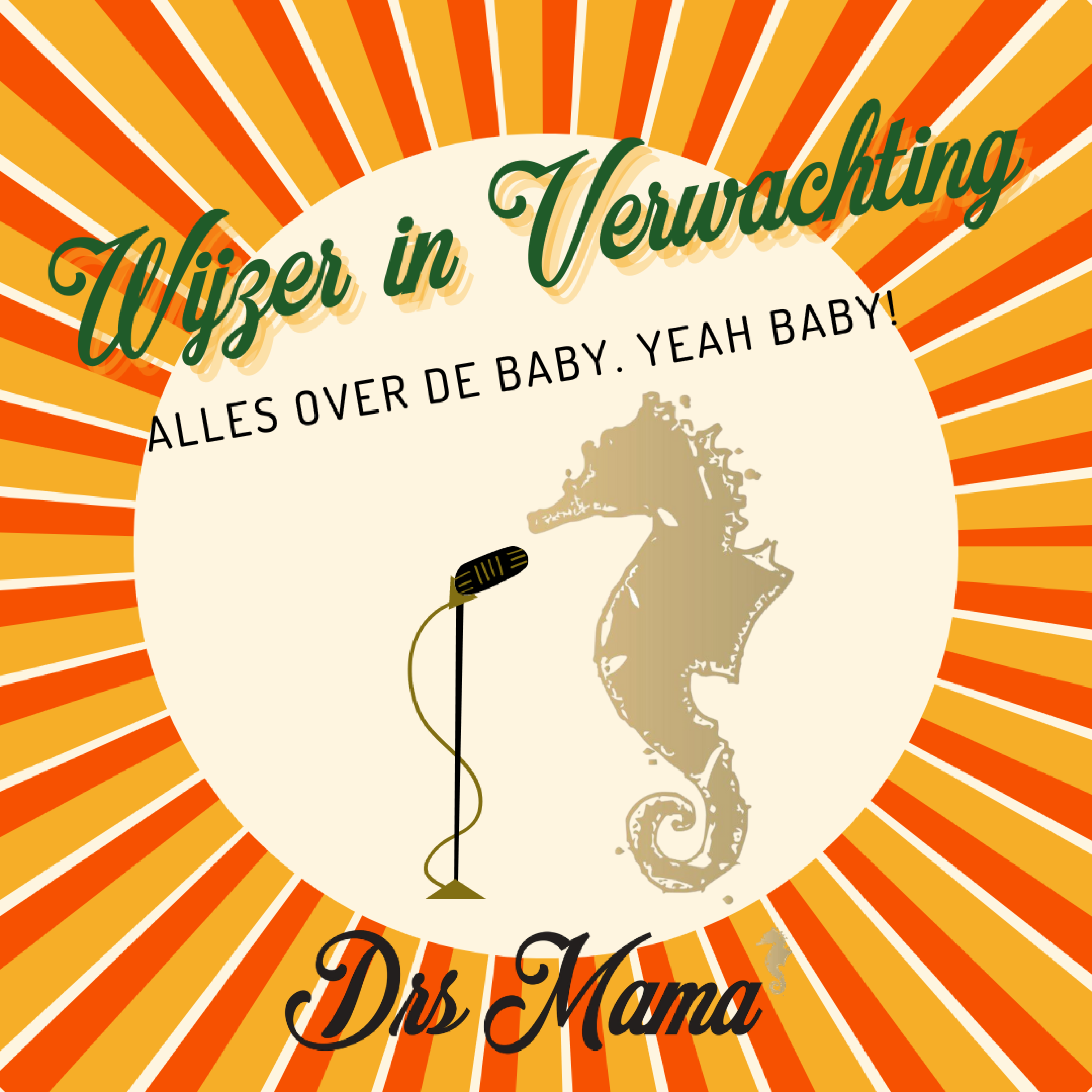 De Baby - Ouders worden episode artwork