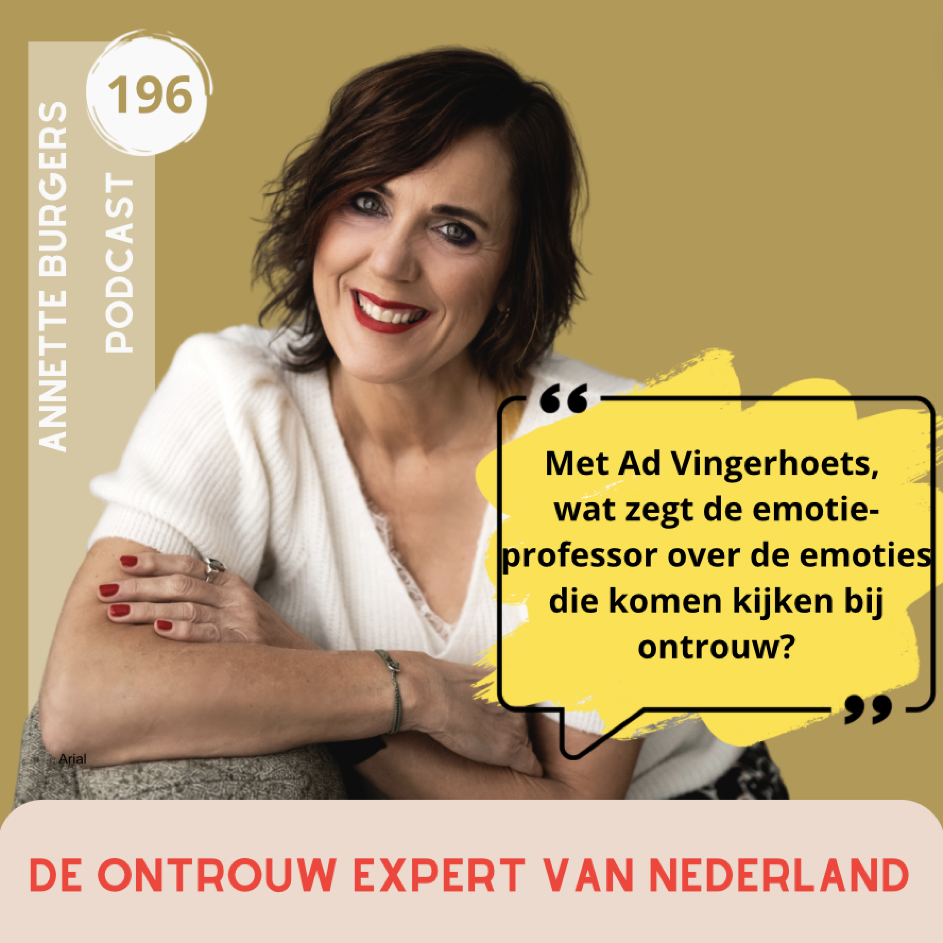 Hoe ga je om met emoties als je partner vreemd is gegaan? Met Ad Vingerhoed #191 episode artwork