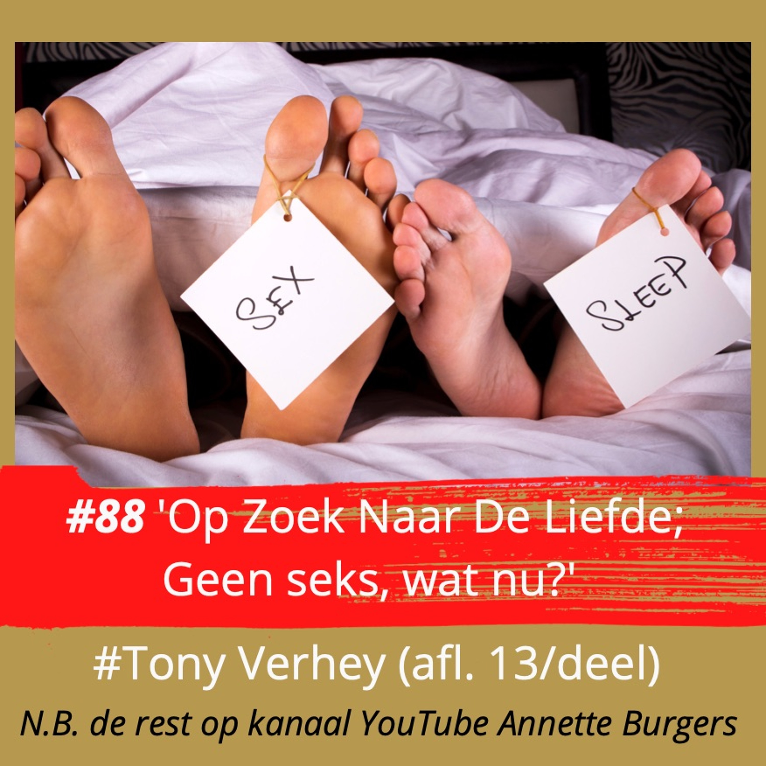 'Geen seks; wat nu?' met als gast: Tony Verheij, serie 8, afl. 13 #84 episode artwork