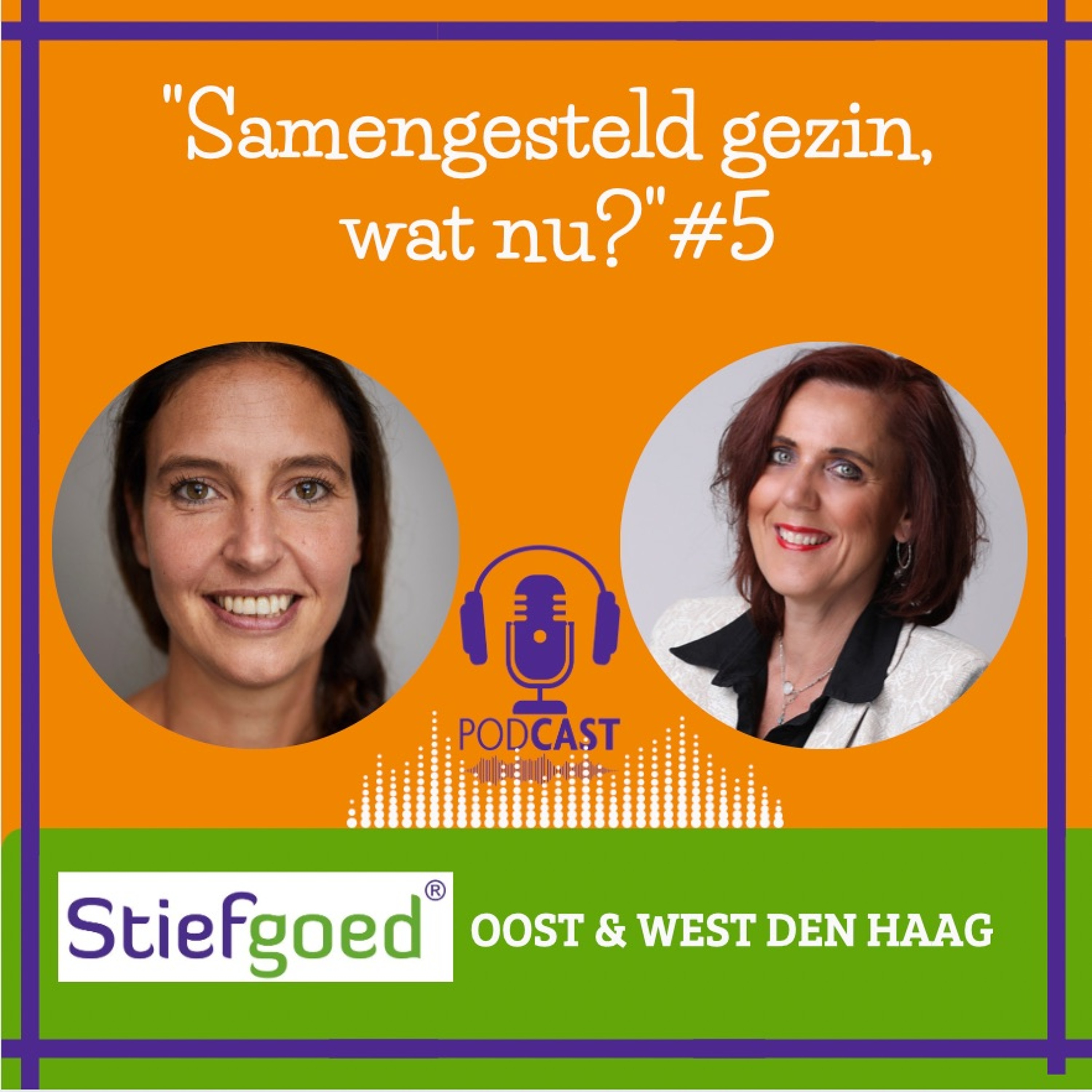 ‘Samengesteld Gezin, Wat Nu?’ Deel 5 Jordie Vos en Annette Burgers; Q & A Serie 7, afl.5 #66 episode artwork