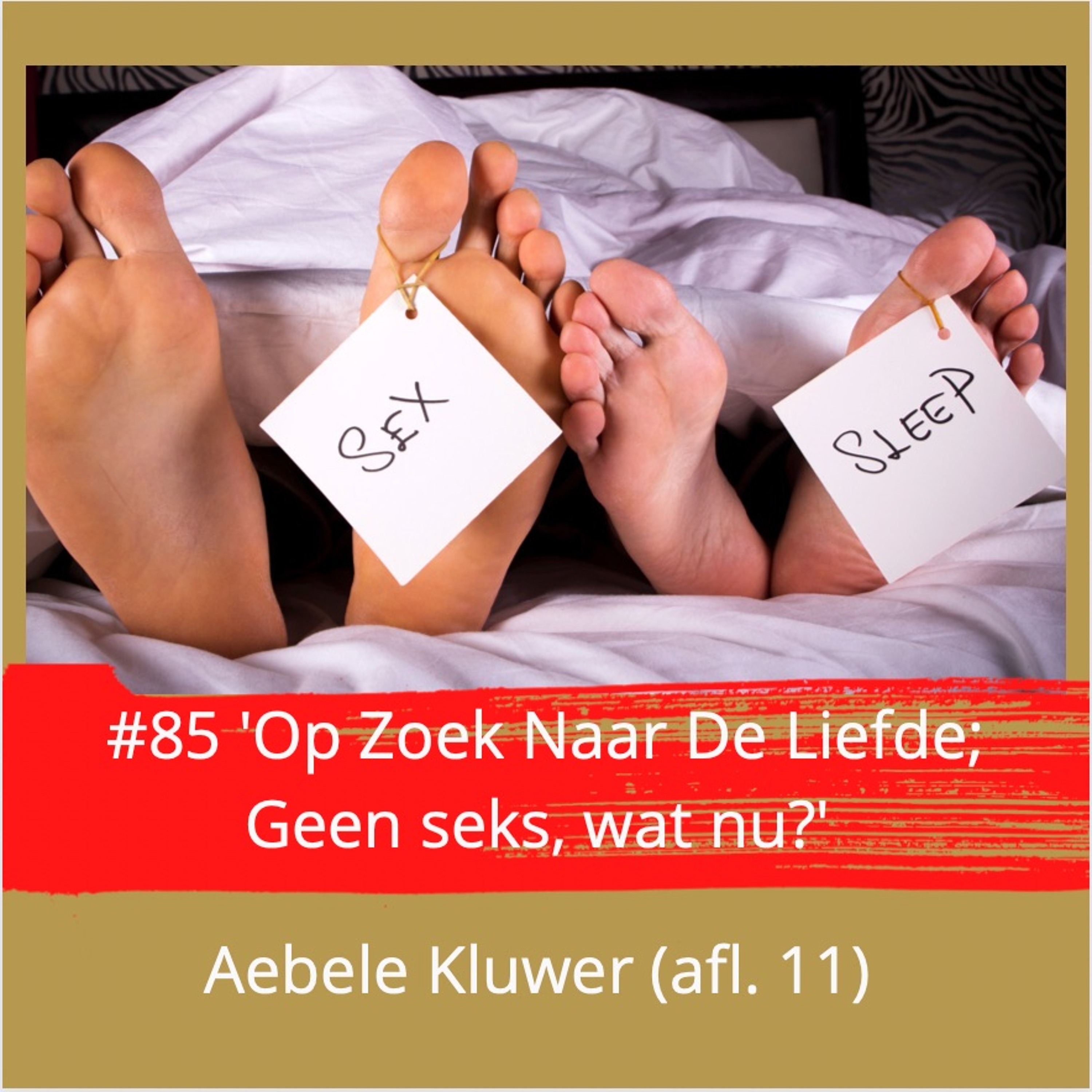 'Geen seks, wat nu?' serie 8, afl. 11 met Aebele Kluwer #82 episode artwork