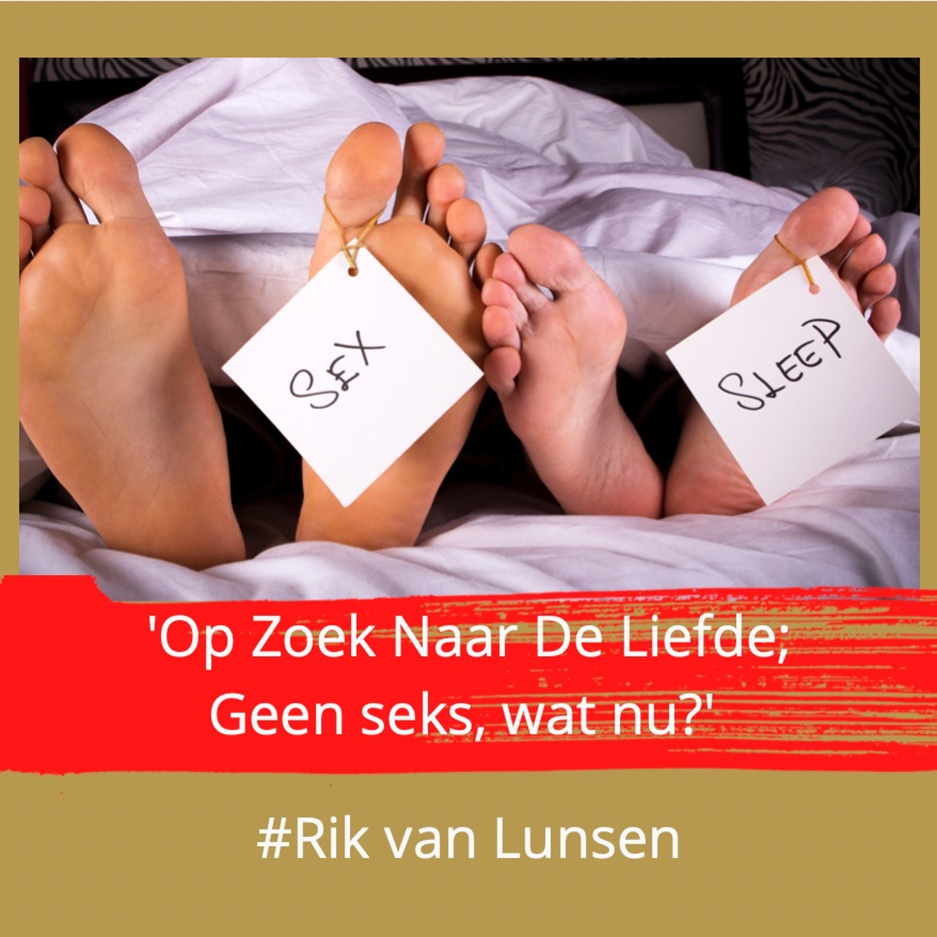 'Geen seks, wat nu?' serie 8, afl. 8 met Rik van Lunsen #79 episode artwork