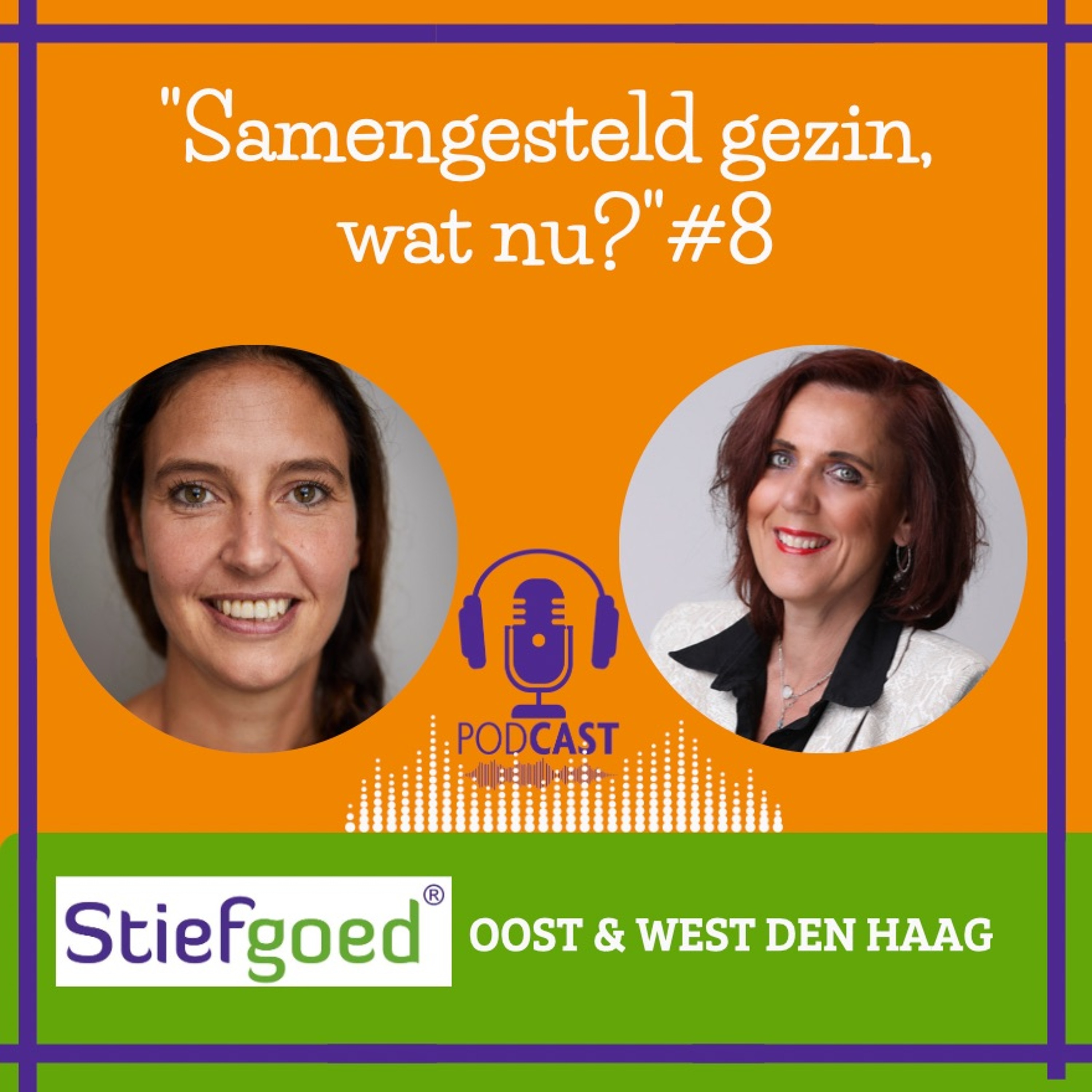 'Samengesteld Gezin, Wat Nu?' Deel 8 Jordie Vos en Annette Burgers; Q & A Serie 7, afl.8 #69 episode artwork