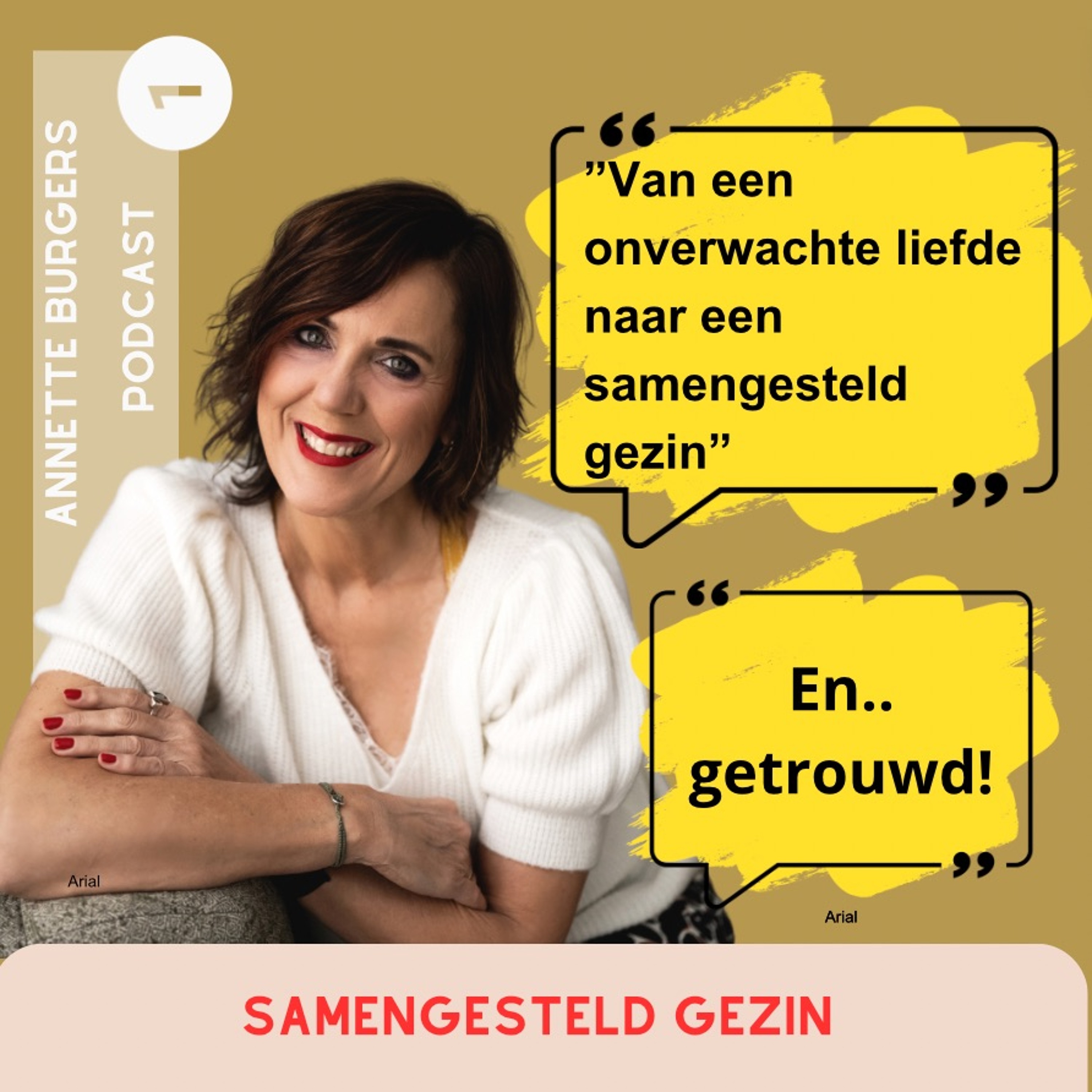 Linda werd verliefd, zij heeft twee kinderen, hij geen; samengesteld gezin #1 episode artwork