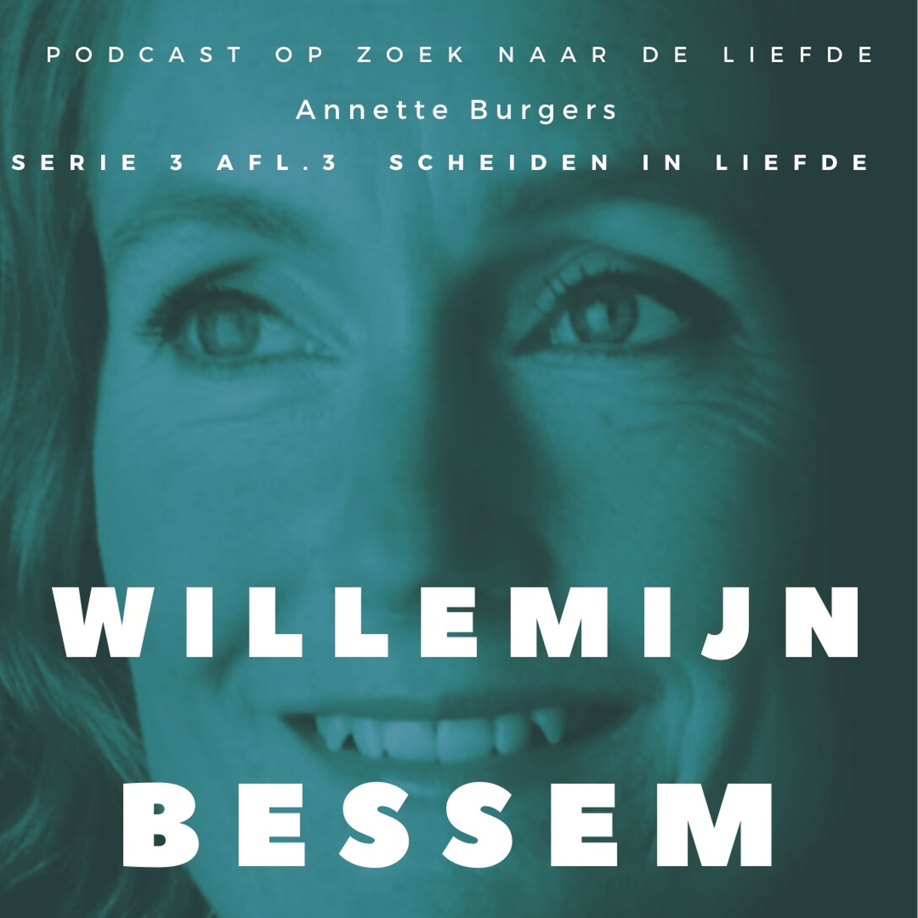 Op Zoek Naar De Liefde, Willemijn Bessem, Serie 3, Afl 3,  "Leven in liefde" #20 episode artwork