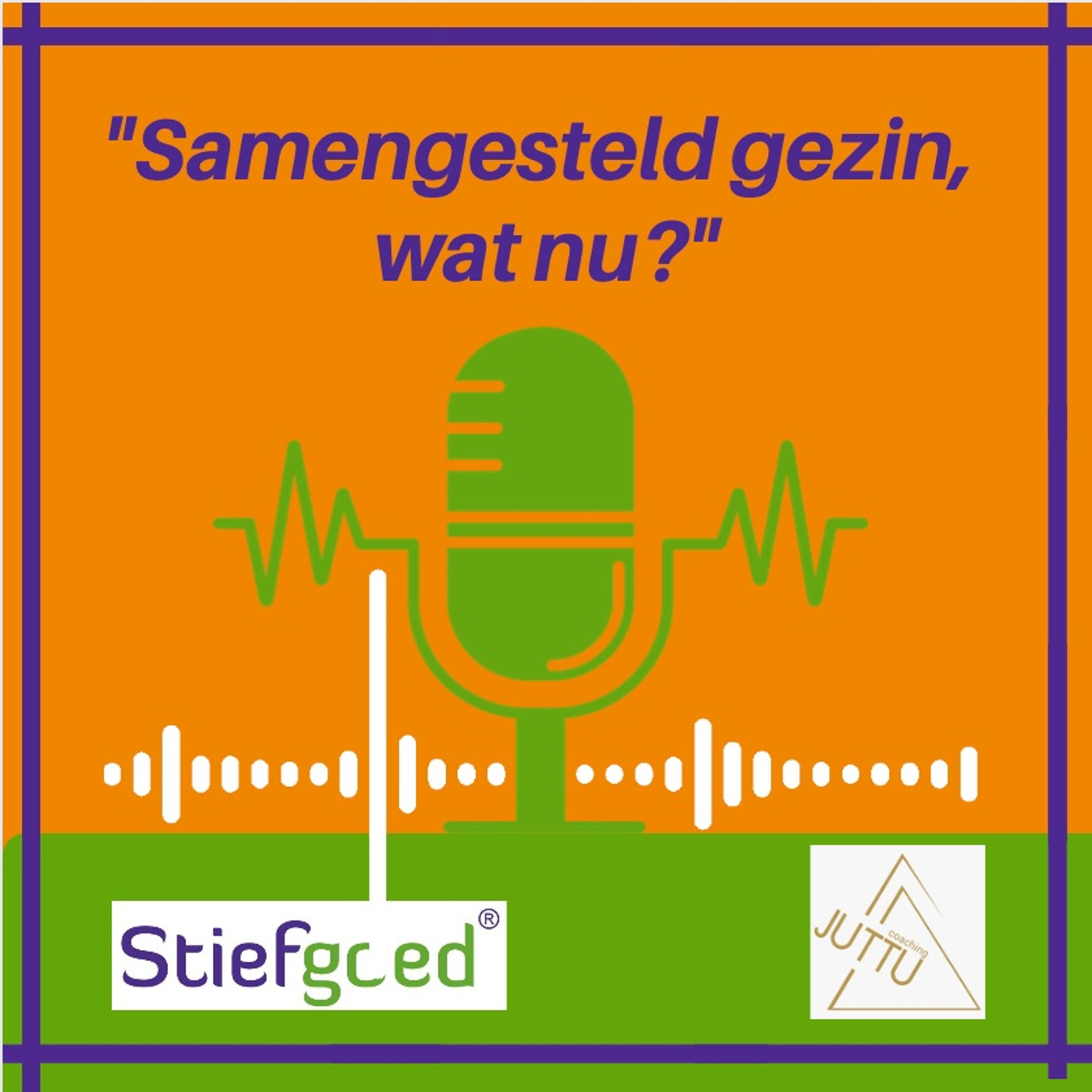 Stiefgoed Werkt Voor Het Samengesteld Gezin met Annette Burgers #71 episode artwork