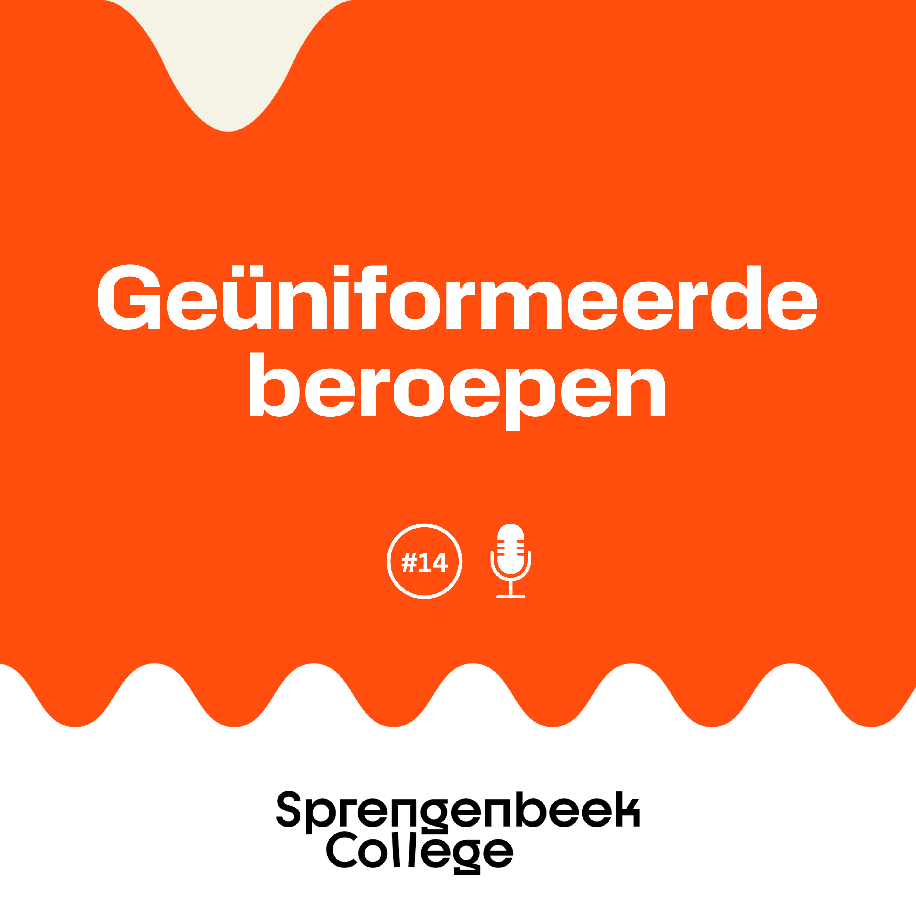 #14 Meer over Dienstverlening & Producten: geüniformeerde beroepen