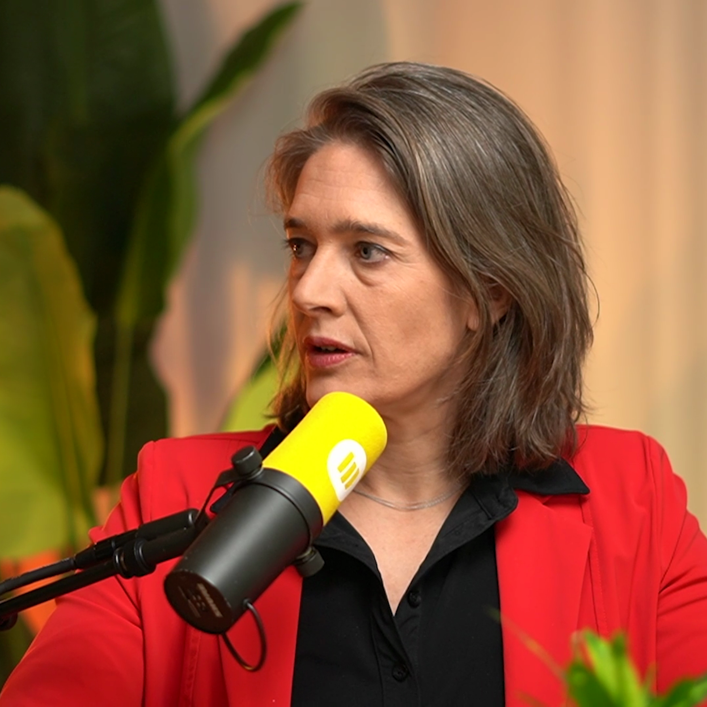 Rompslomp - de podcast voor zzp\'ers