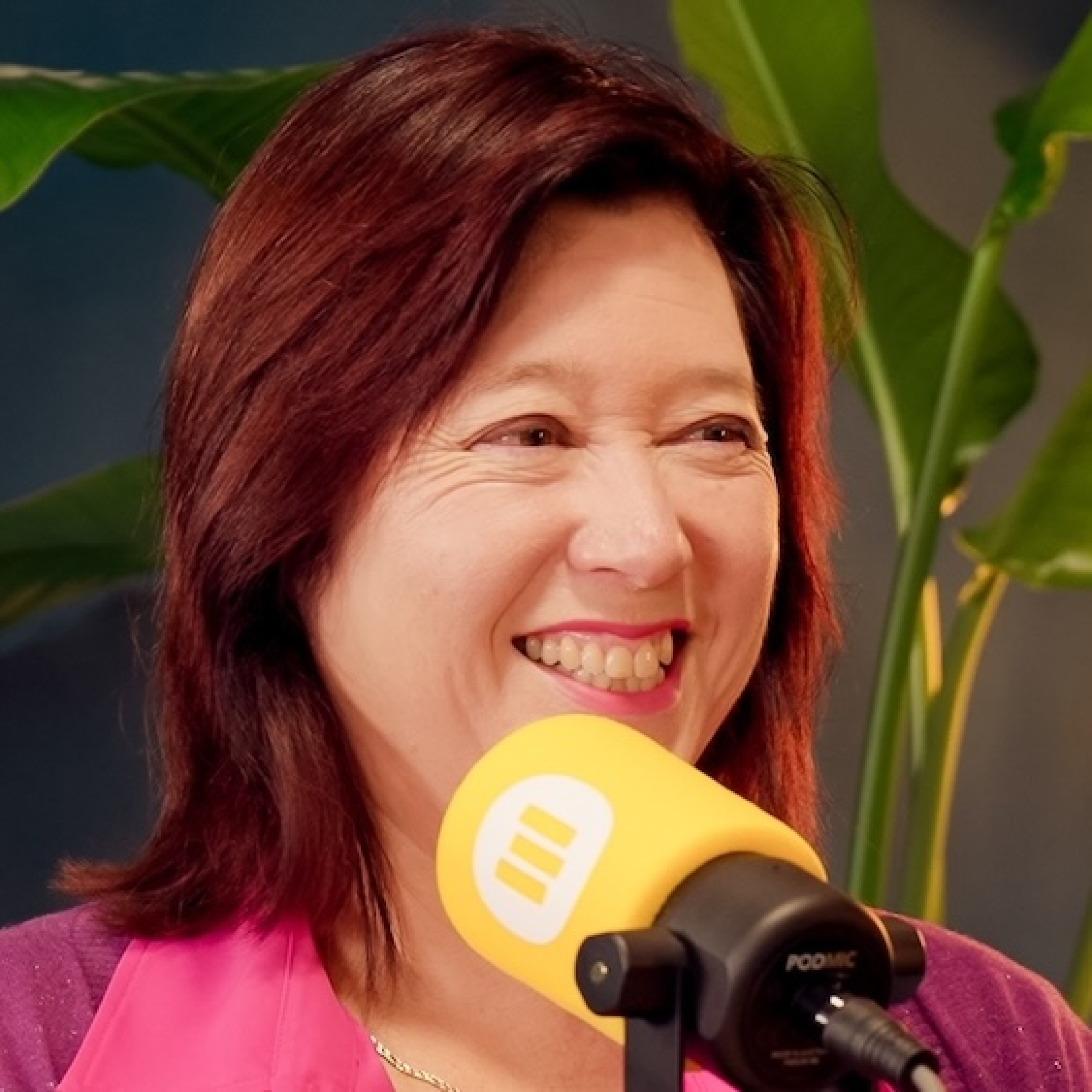 Rompslomp - de podcast voor zzp\'ers