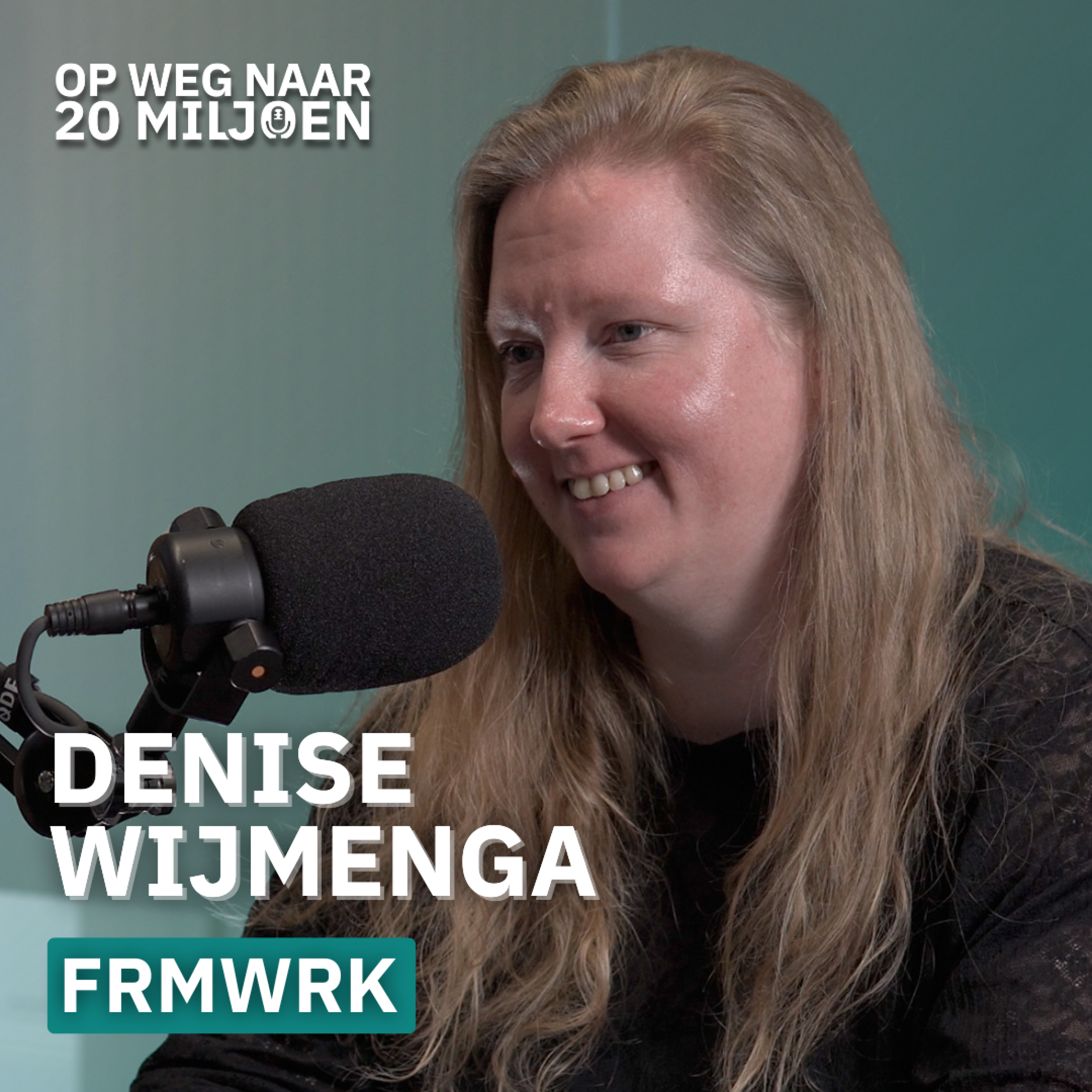 #141 AI + SEO: Enorme kansen in e-commerce | Denise Wijmenga, FRMWRK